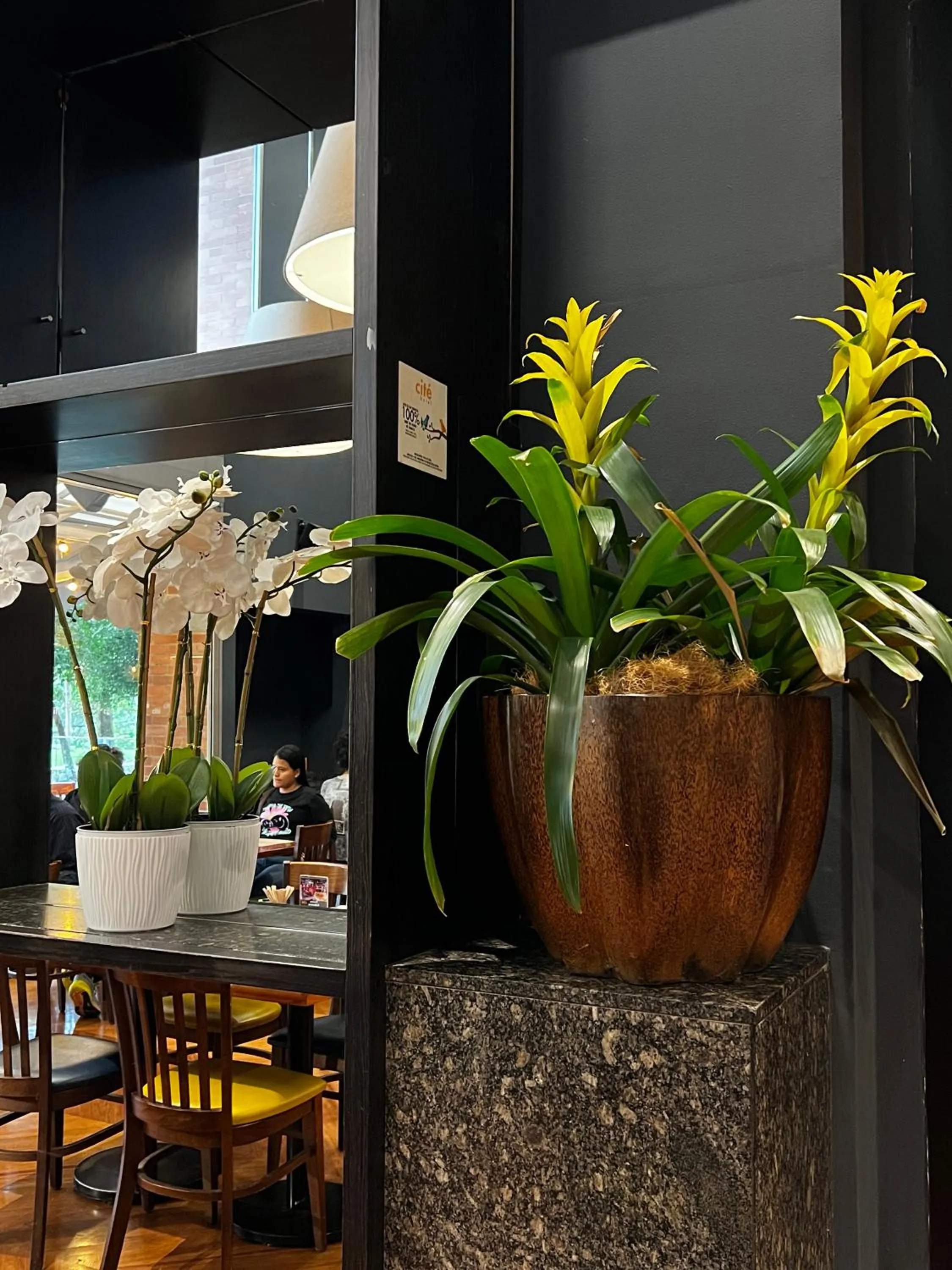 Decorative detail in Cité Hotel