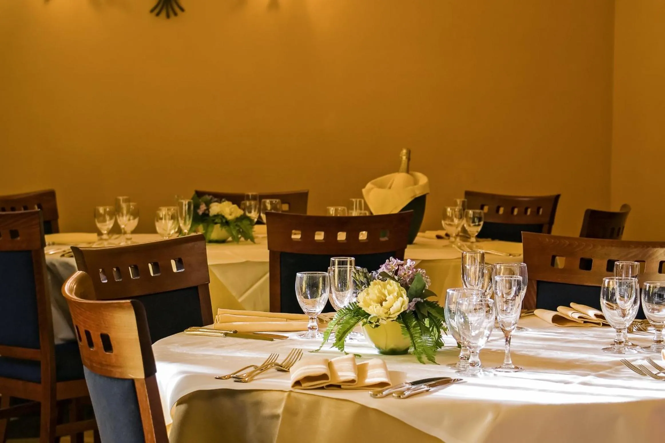 Restaurant/places to eat in Hotel Da Vinci
