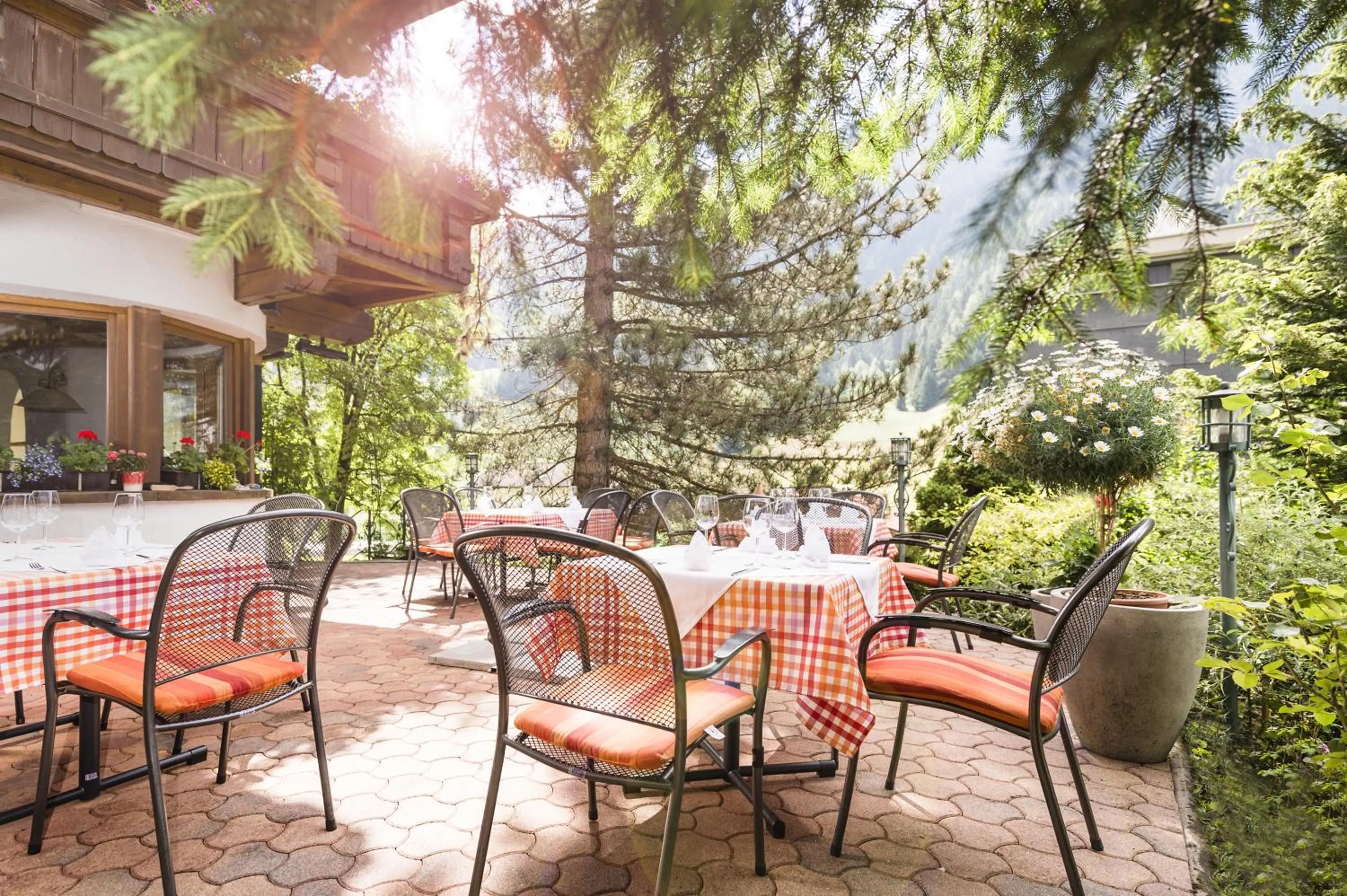 Garden in Hotel Angelika