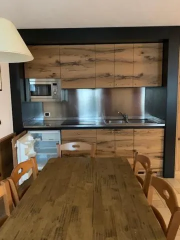 Kitchen or kitchenette in Residence Le Grand Chalet