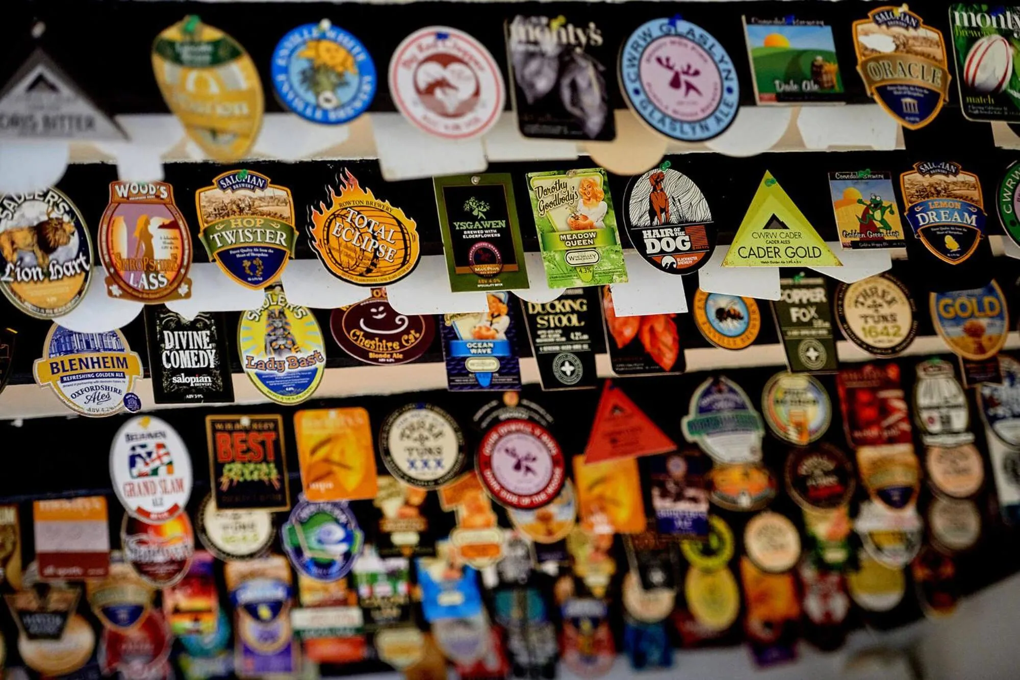 Lounge or bar in The Glengower