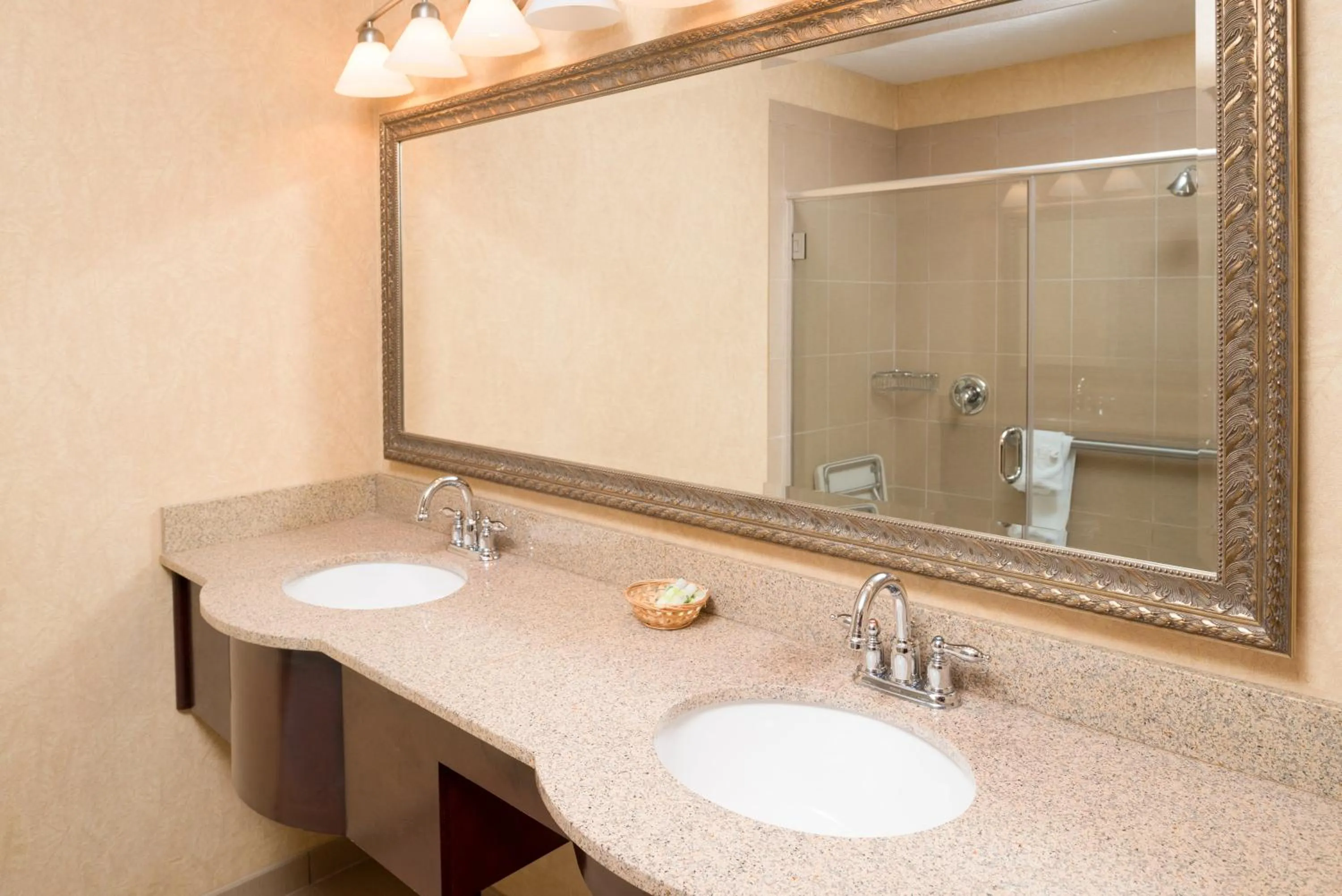 Bathroom in Holiday Inn Express Wenatchee by IHG