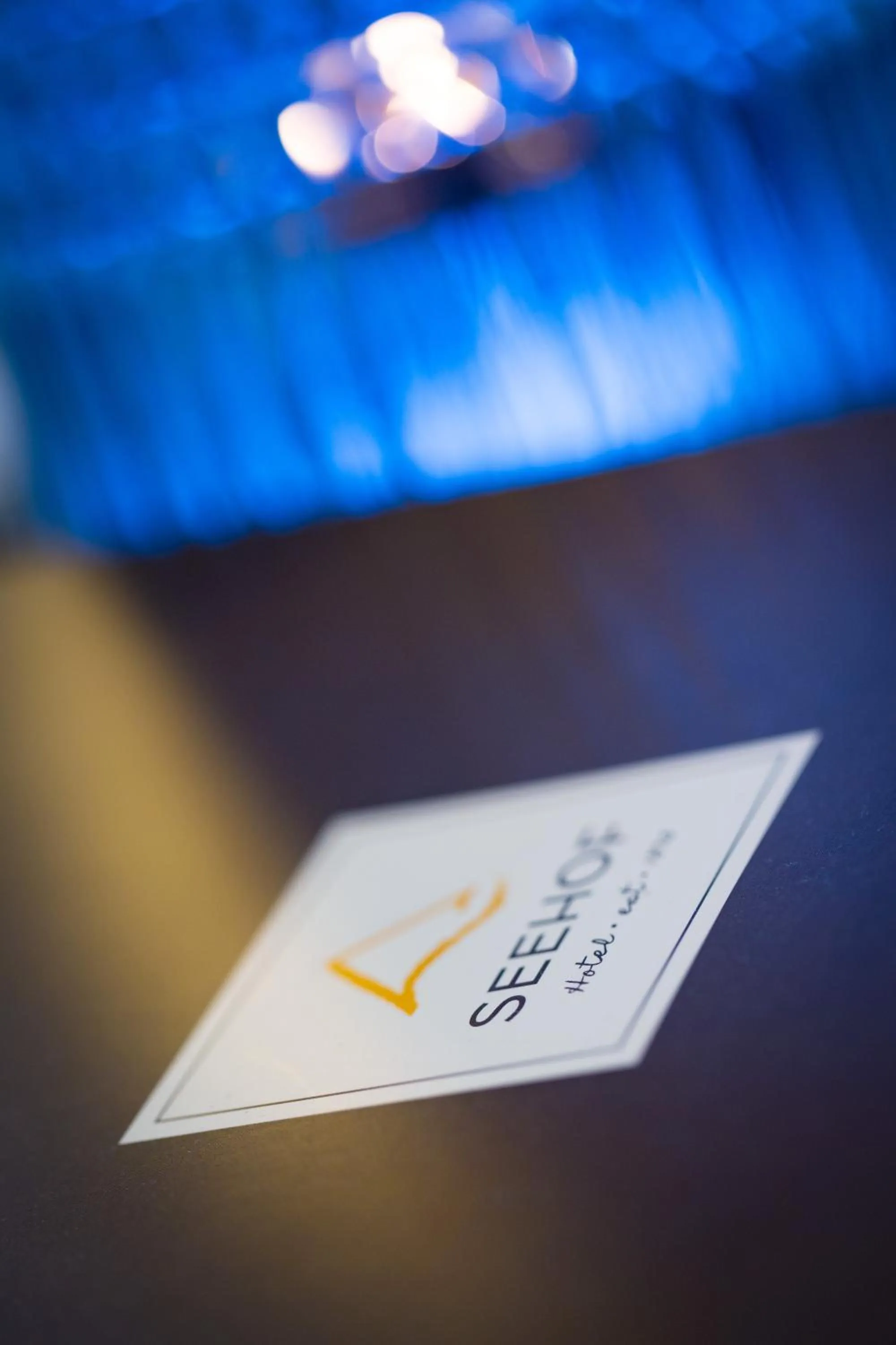 Property logo or sign in Hotel Seehof