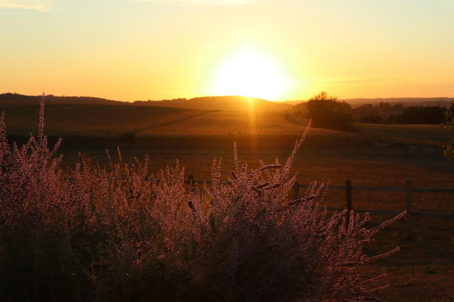 Property building in La Douce Dordogne