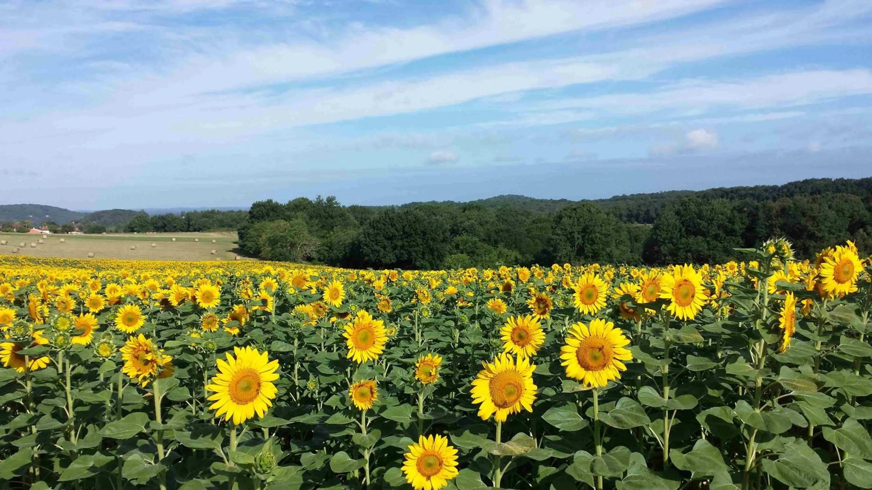 Natural landscape in La Douce Dordogne