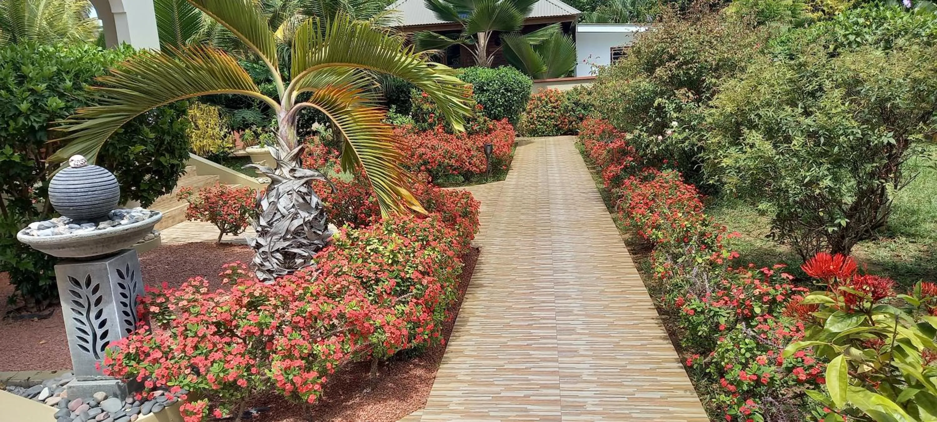 Garden in Seashell Beach Villa