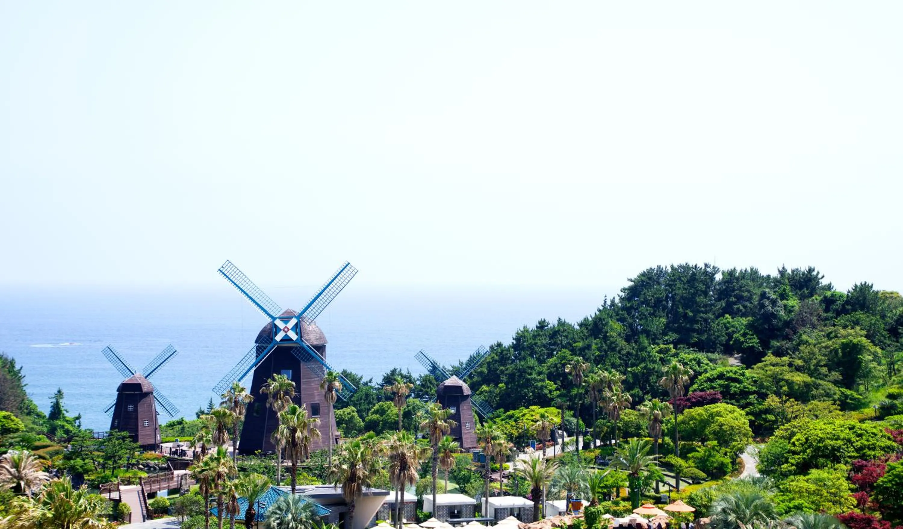 Natural landscape in Lotte Hotel Jeju