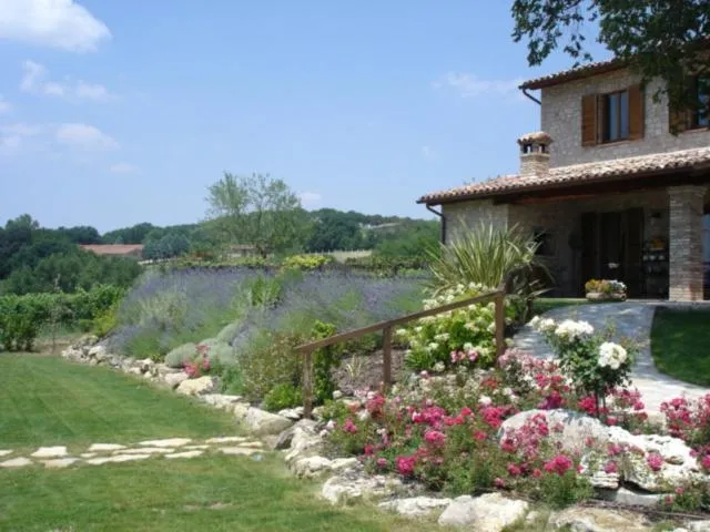 Garden view in Agriturismo Borgo Montecucco