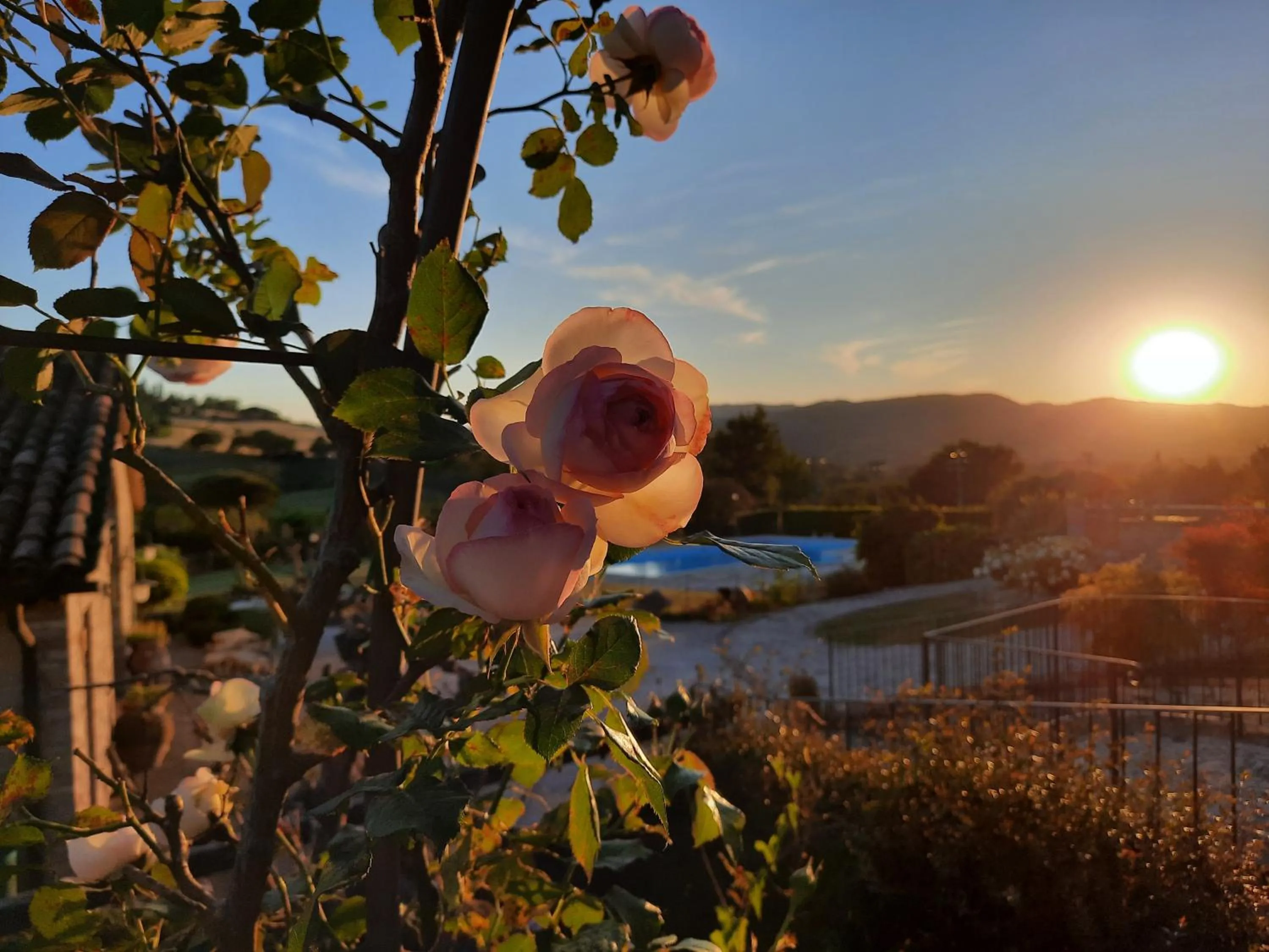 Agriturismo Borgo Montecucco