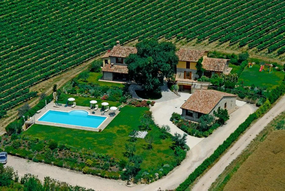 Bird's eye view in Agriturismo Borgo Montecucco