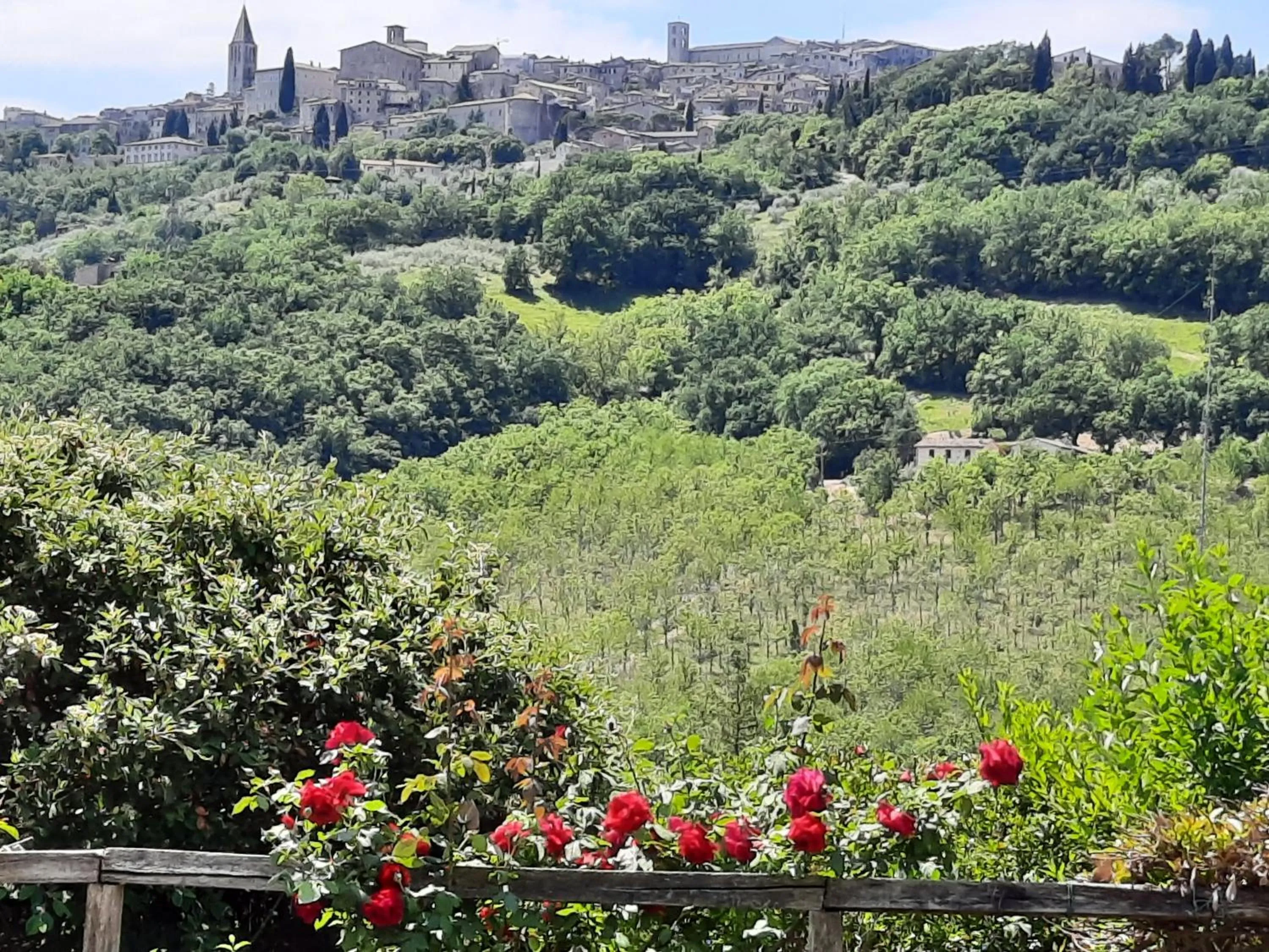 Agriturismo Borgo Montecucco