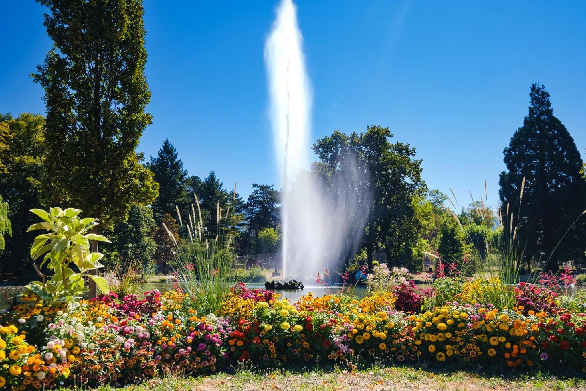 Spring in Residence Des Thermes