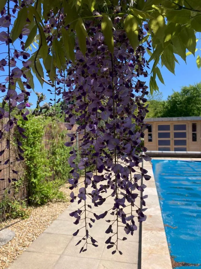 Garden in Le clos des olivettes