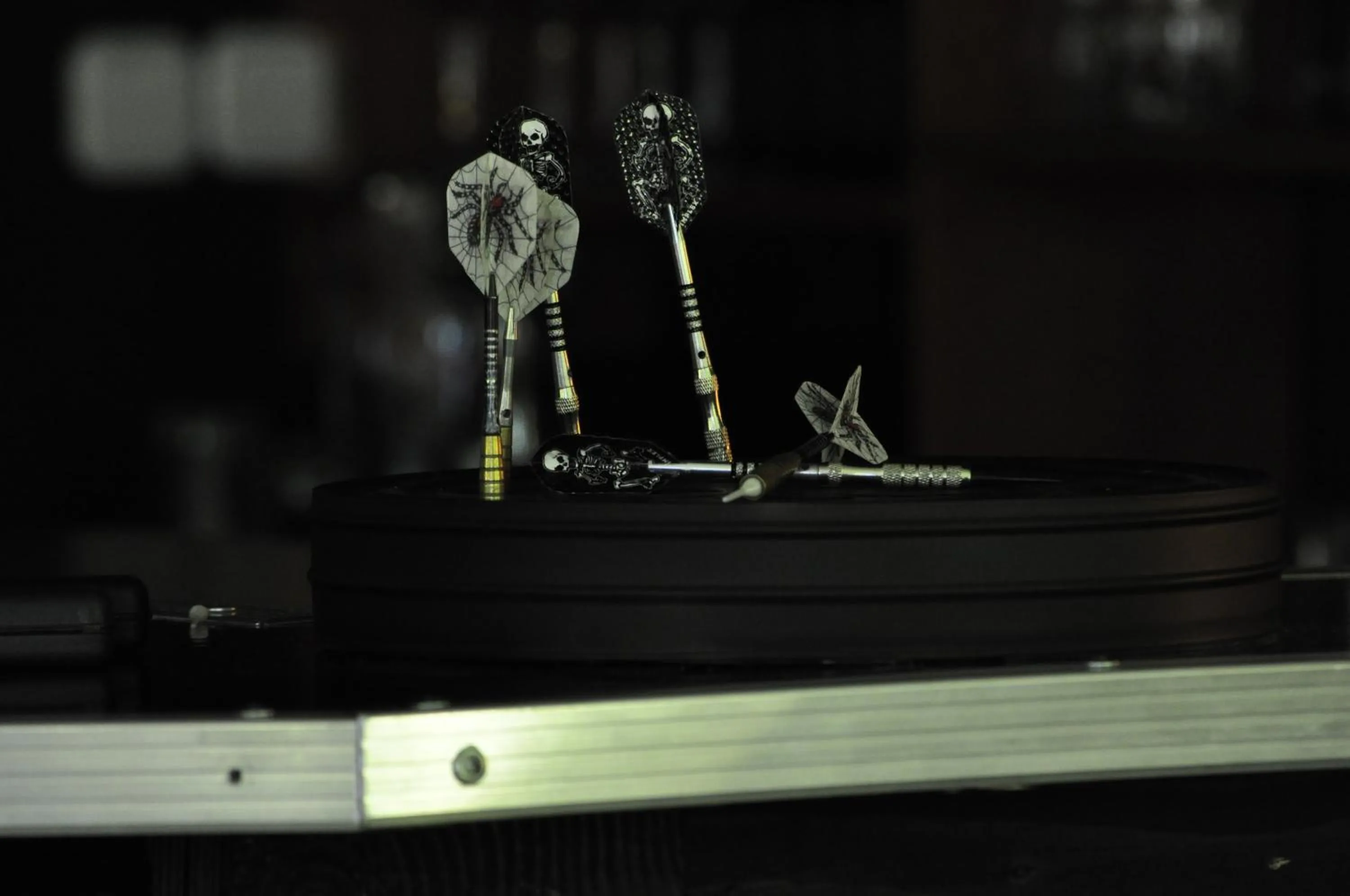 Darts in Pollushof Panzió és Étterem