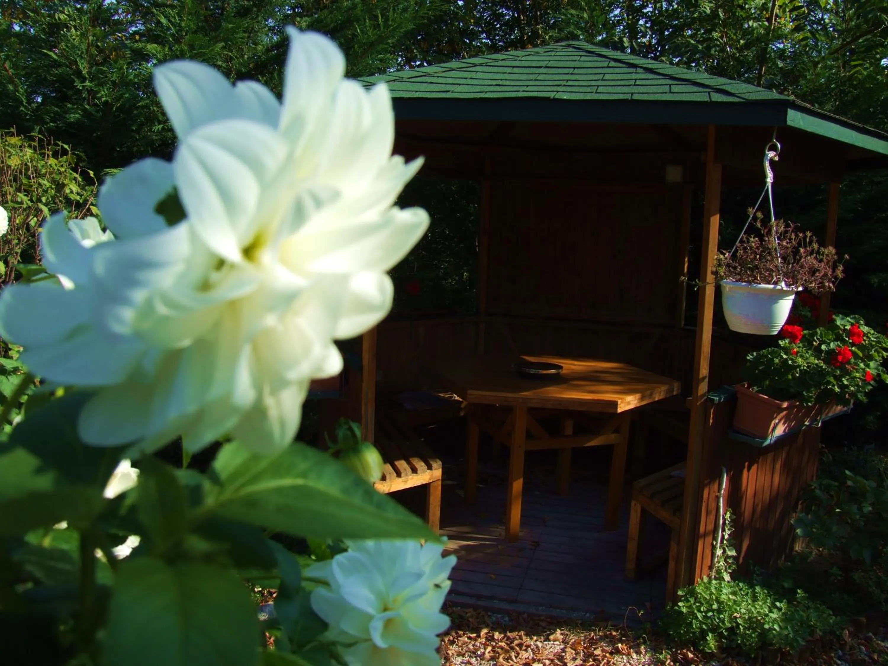 Garden in Pollushof Panzió és Étterem
