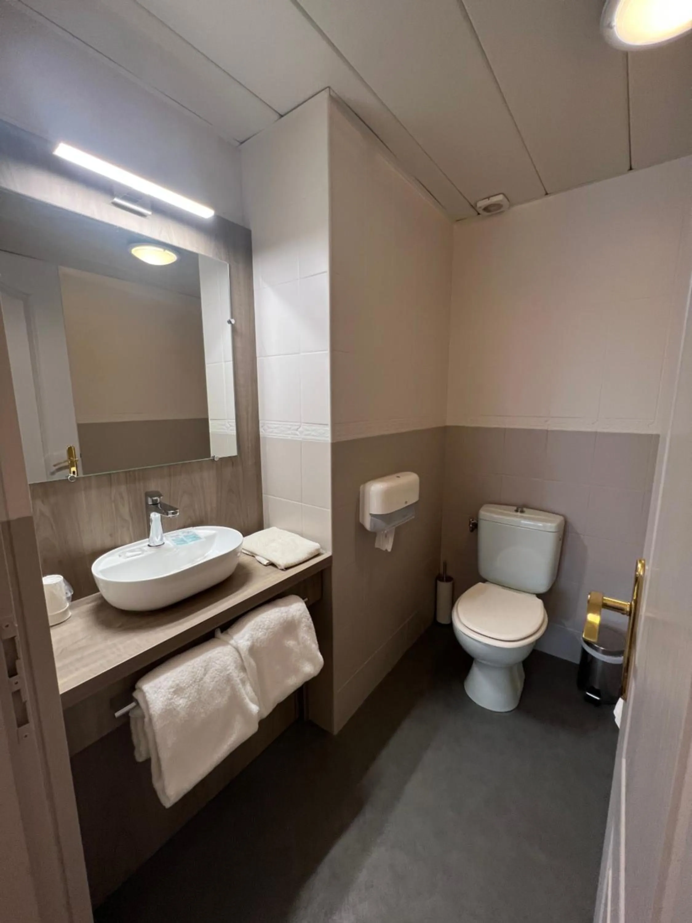 Toilet in Hôtel Le Roi Gourmand