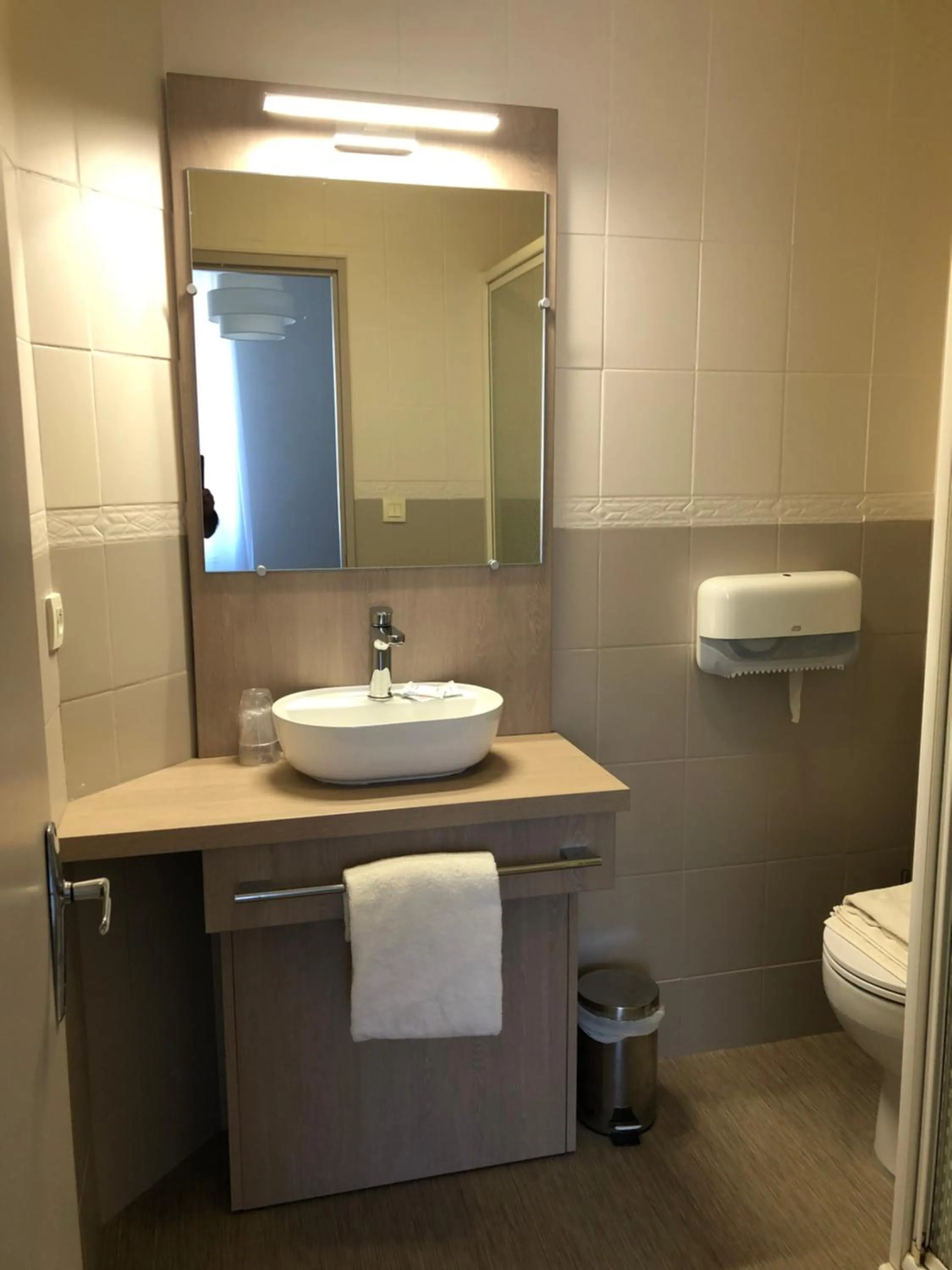 Toilet in Hôtel Le Roi Gourmand