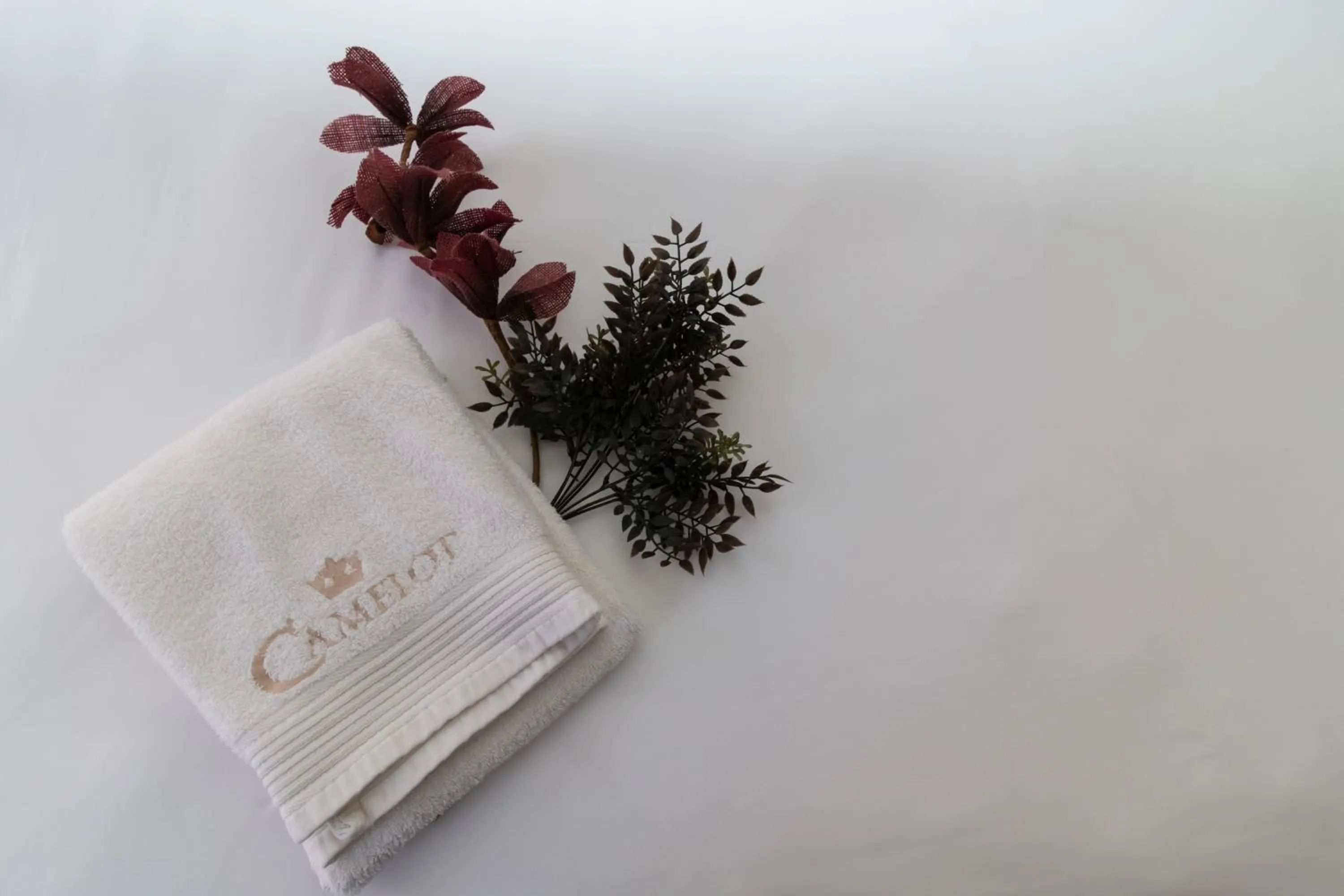 Property logo or sign in Camelot Guest House & Apartments