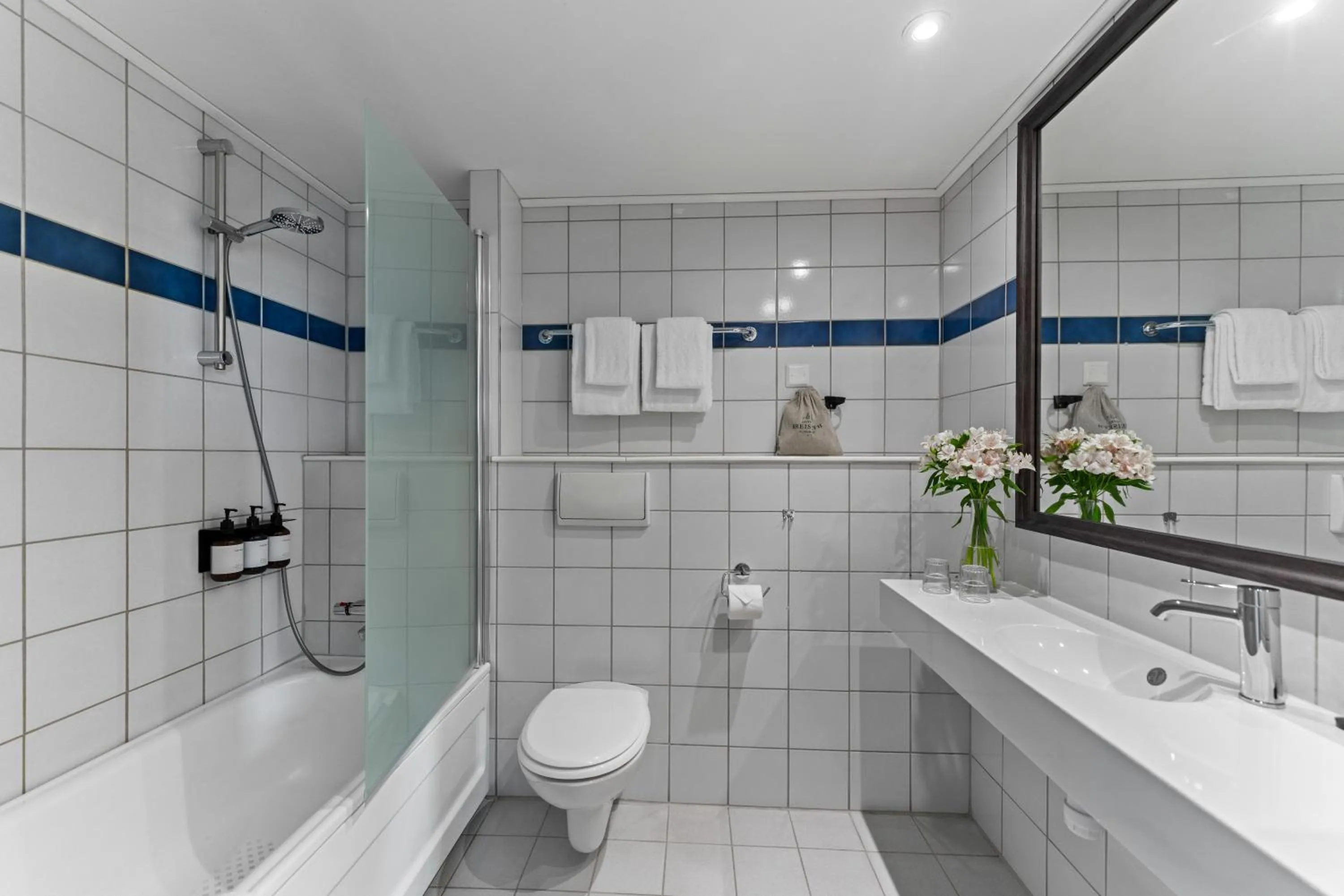 Bathroom in Hotel Breiseth