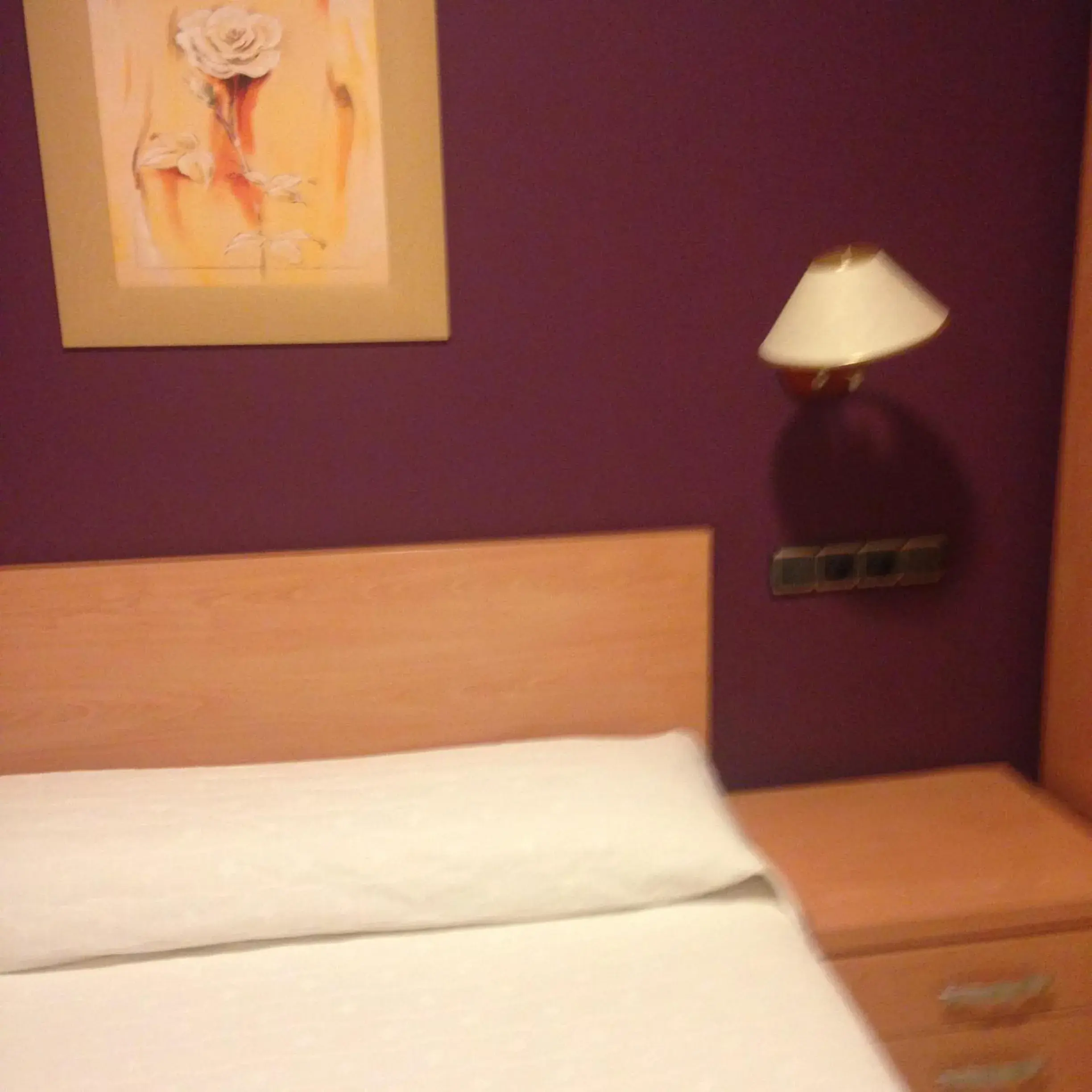 Single Room - single occupancy in Hostal Meseguer Single Room - single occupancy in Hostal Meseguer