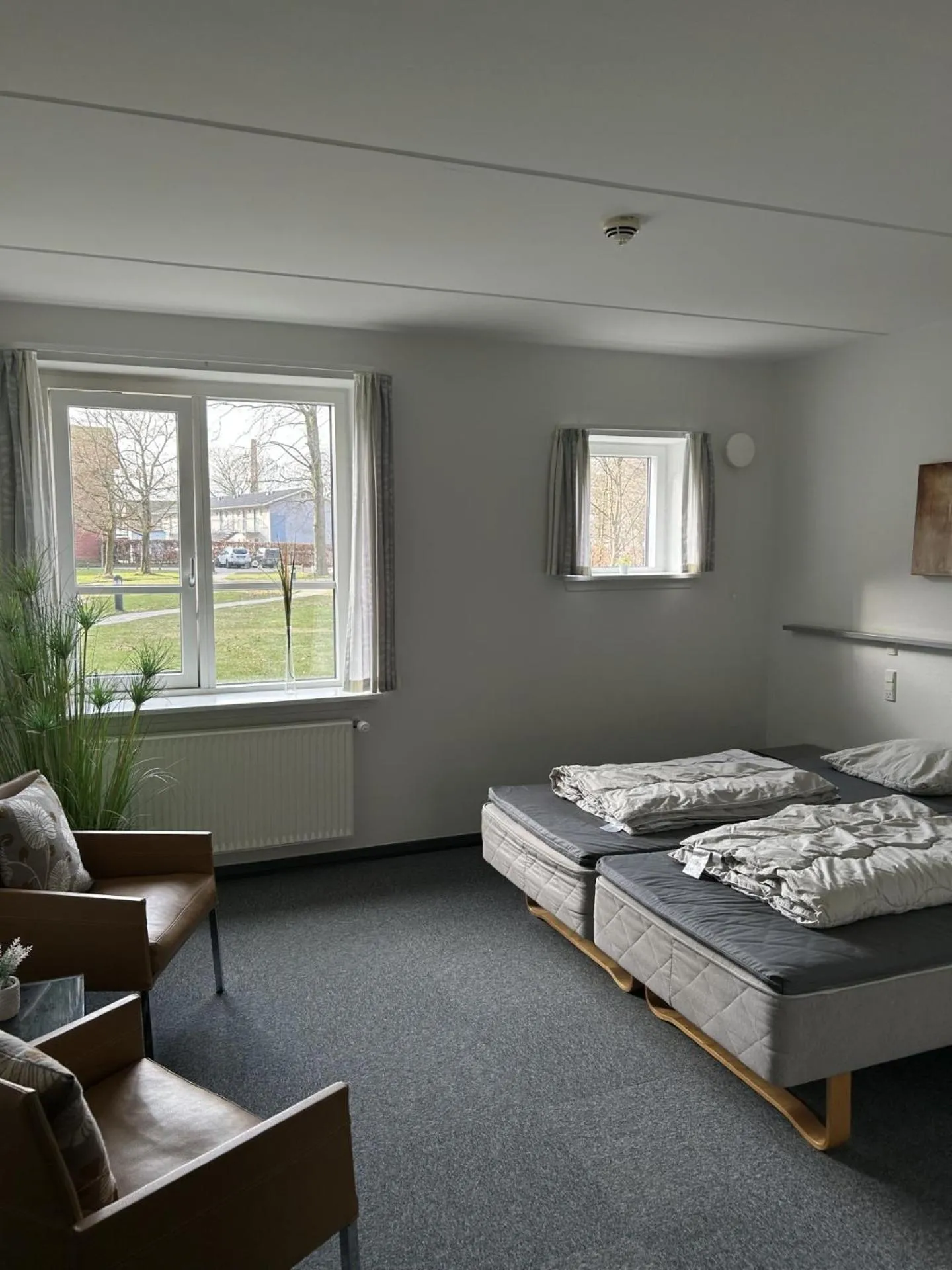 Single Room in Danhostel Esbjerg