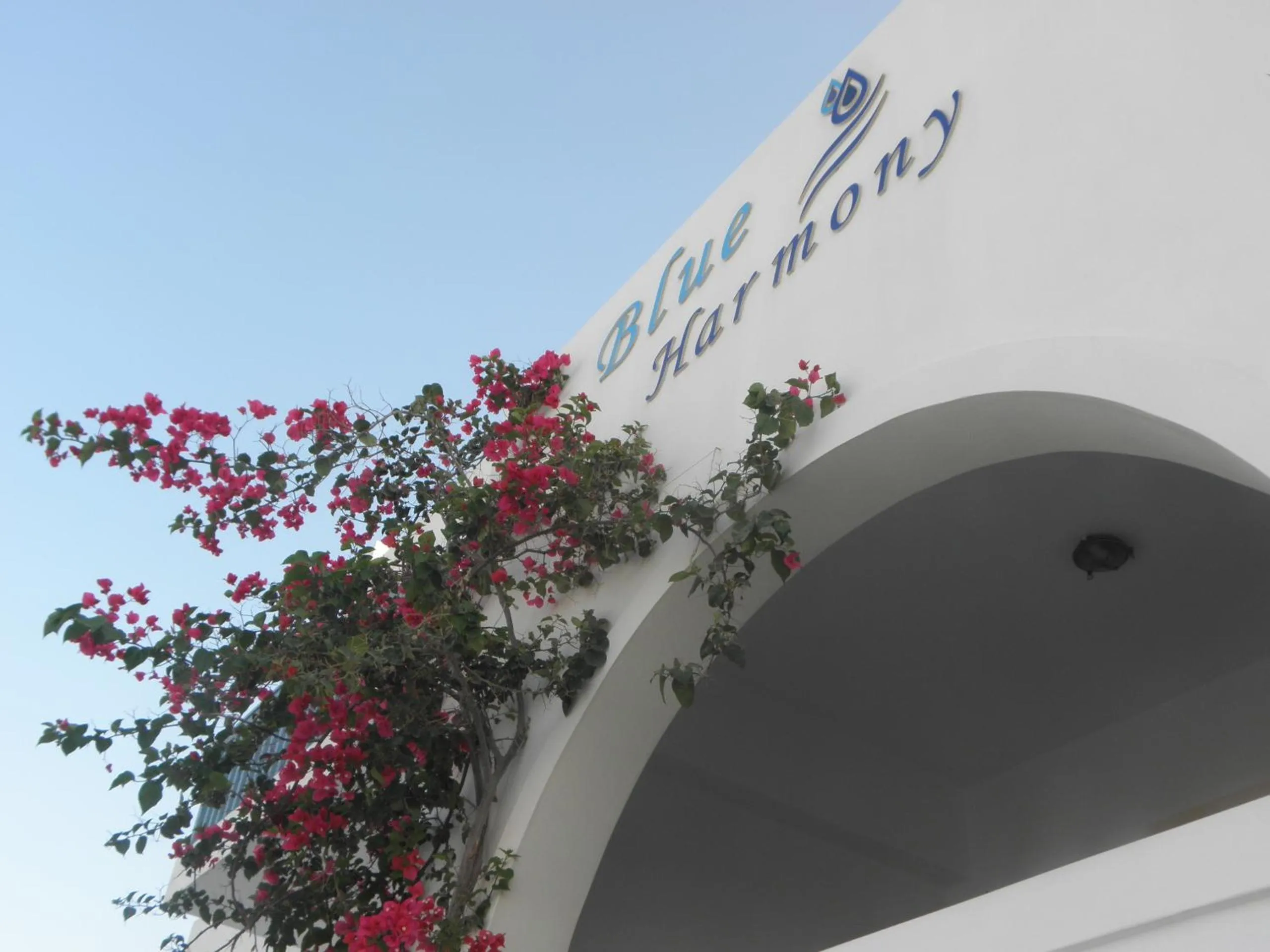 Property building in Blue Harmony Apartments