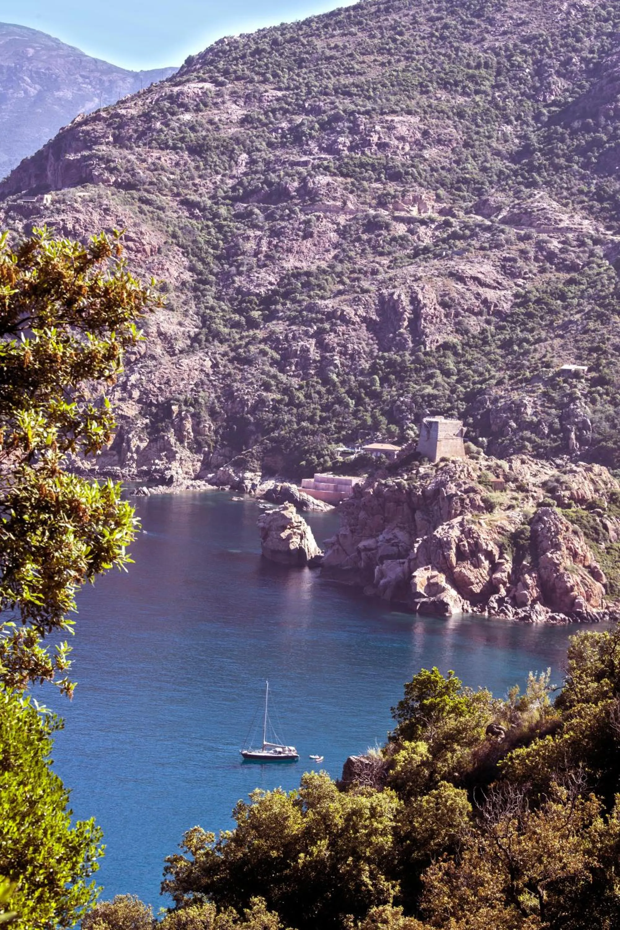 Natural landscape in Hotel Kalliste