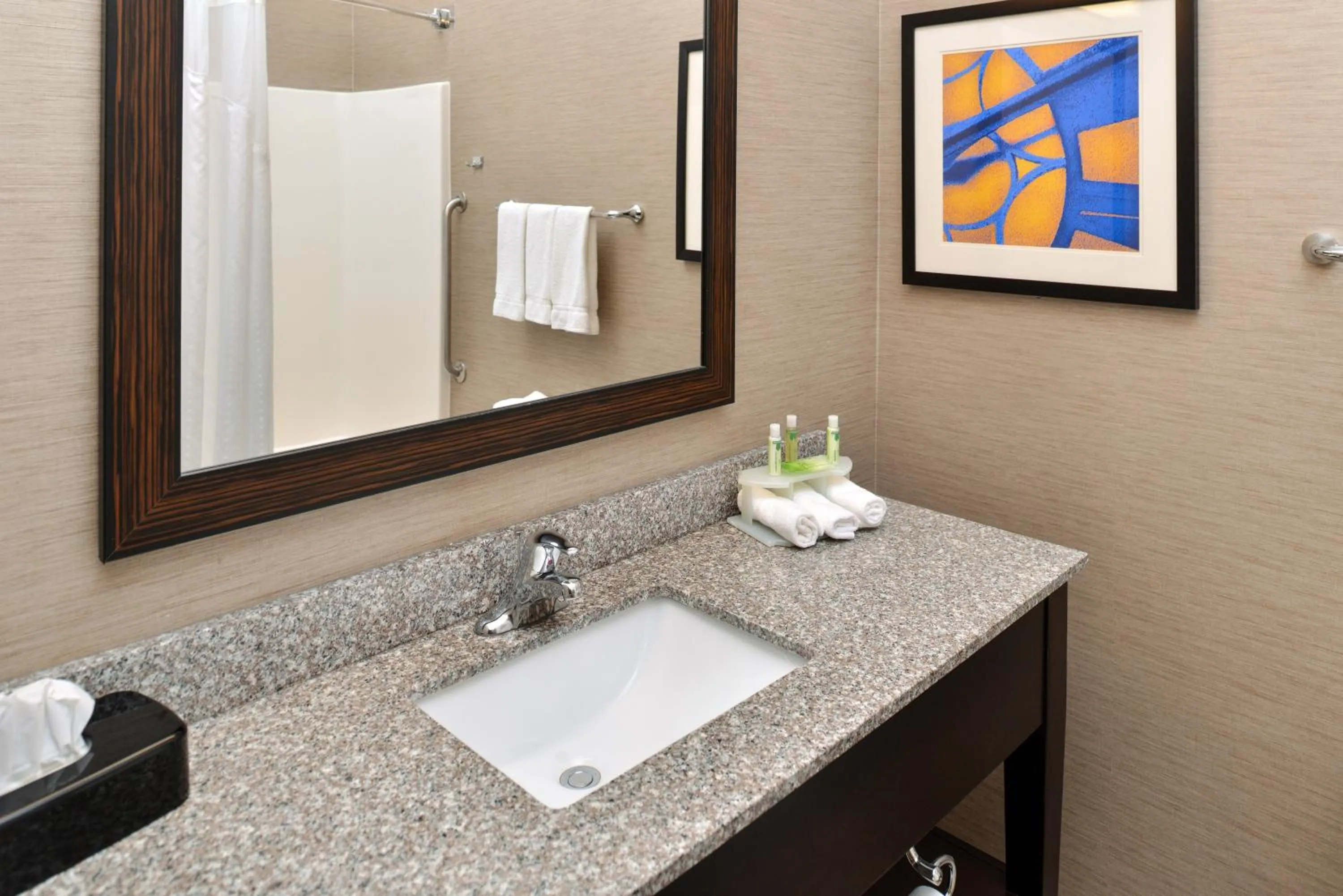 Bathroom in Holiday Inn Express Hotel & Suites St. Louis West-O'Fallon by IHG
