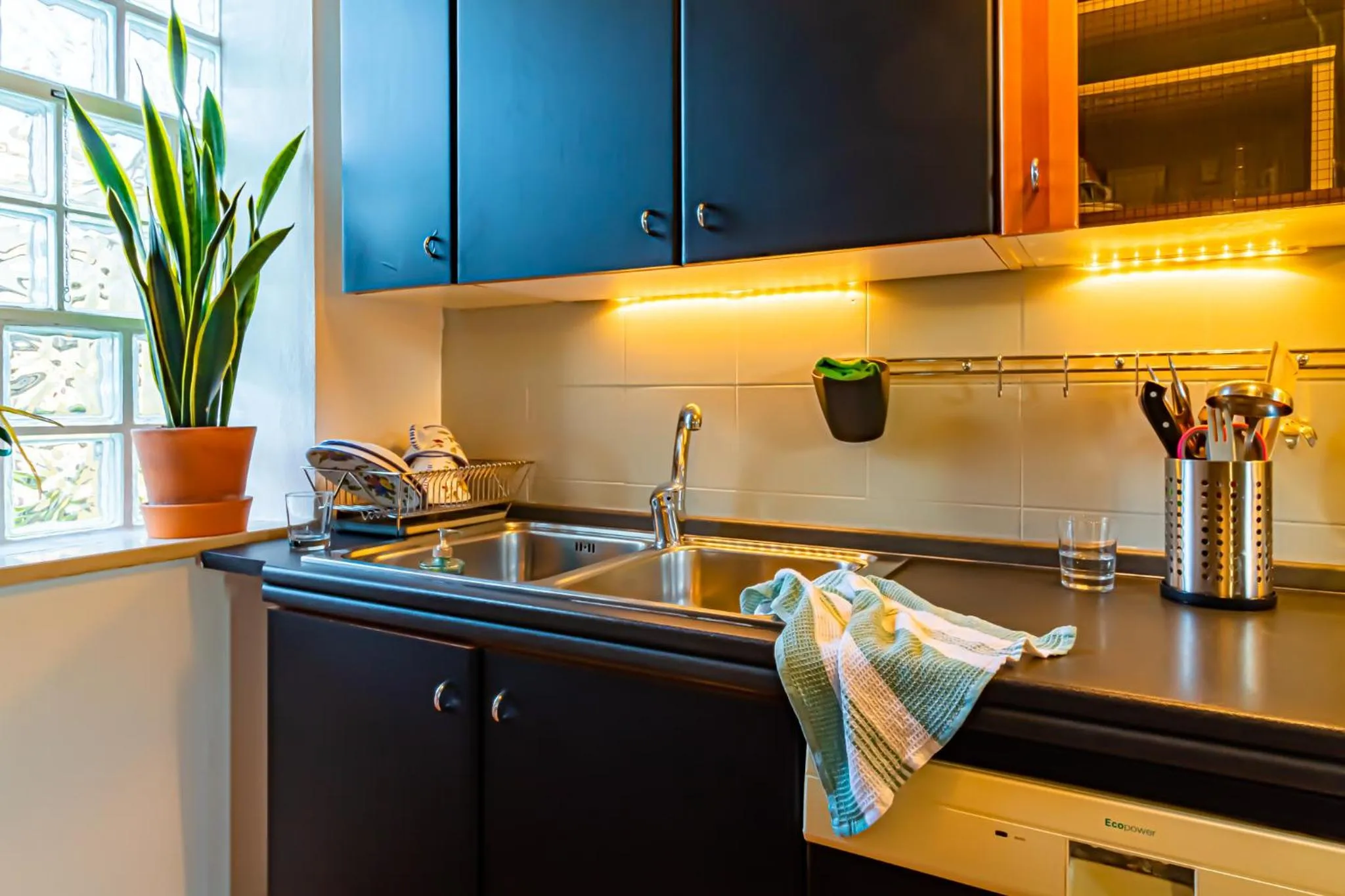 Communal kitchen in Lotus House