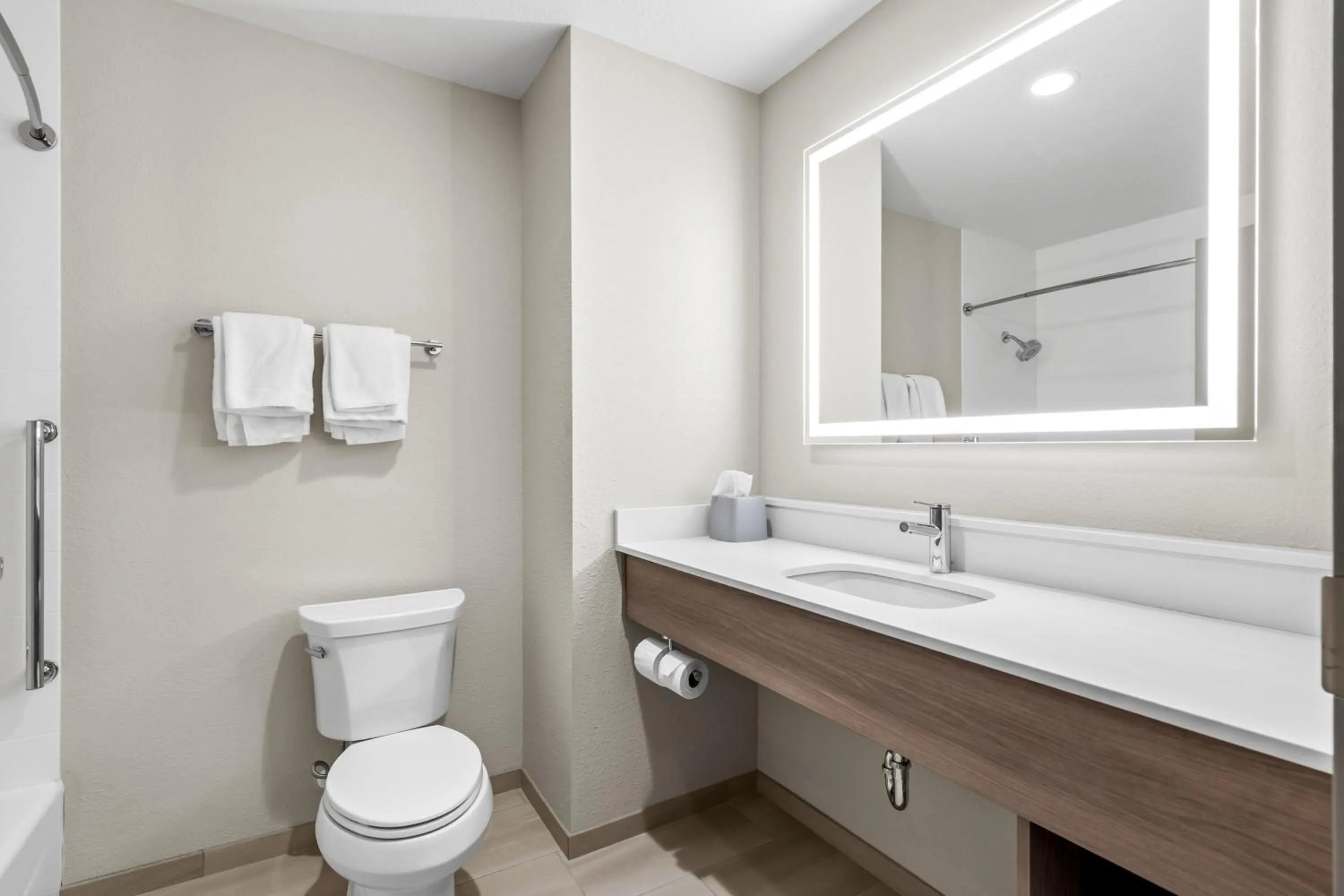 Bathroom in Holiday Inn Express Ogden by IHG