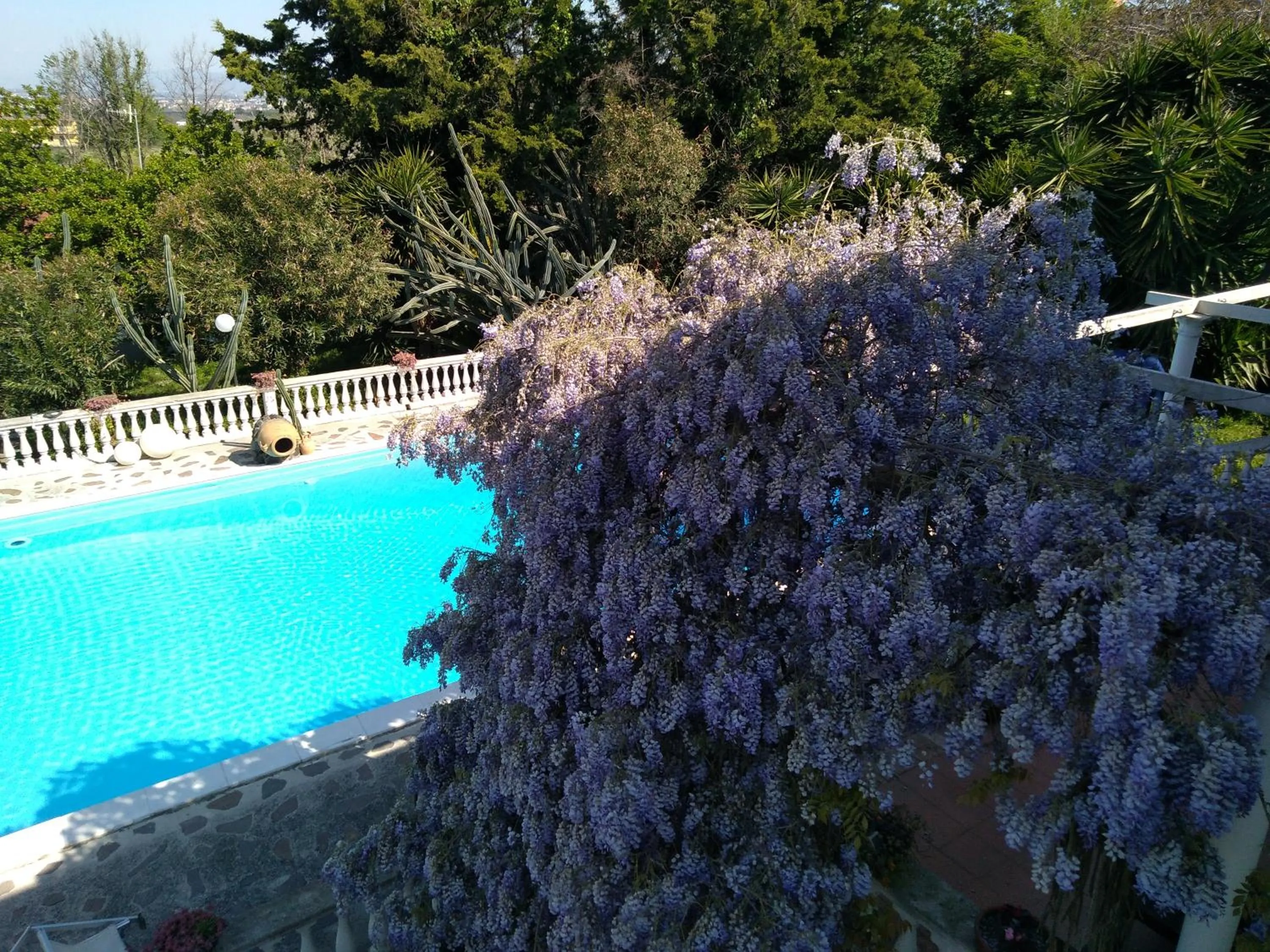 Swimming pool in B&B LA MARCHESA