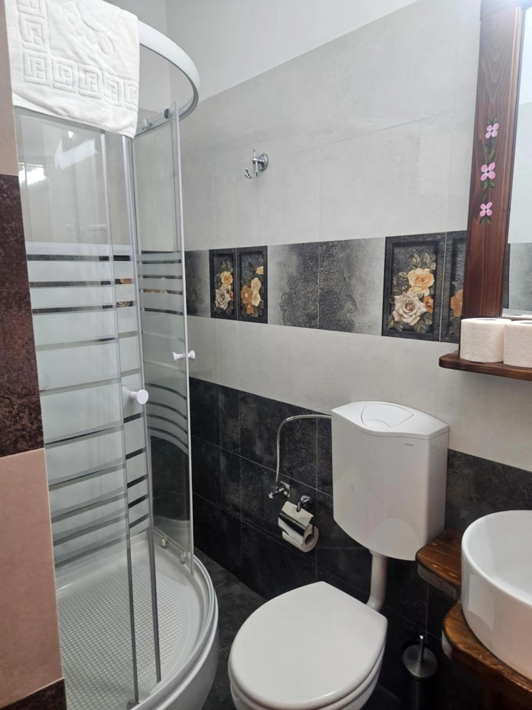 Toilet in Pensiunea Geostar