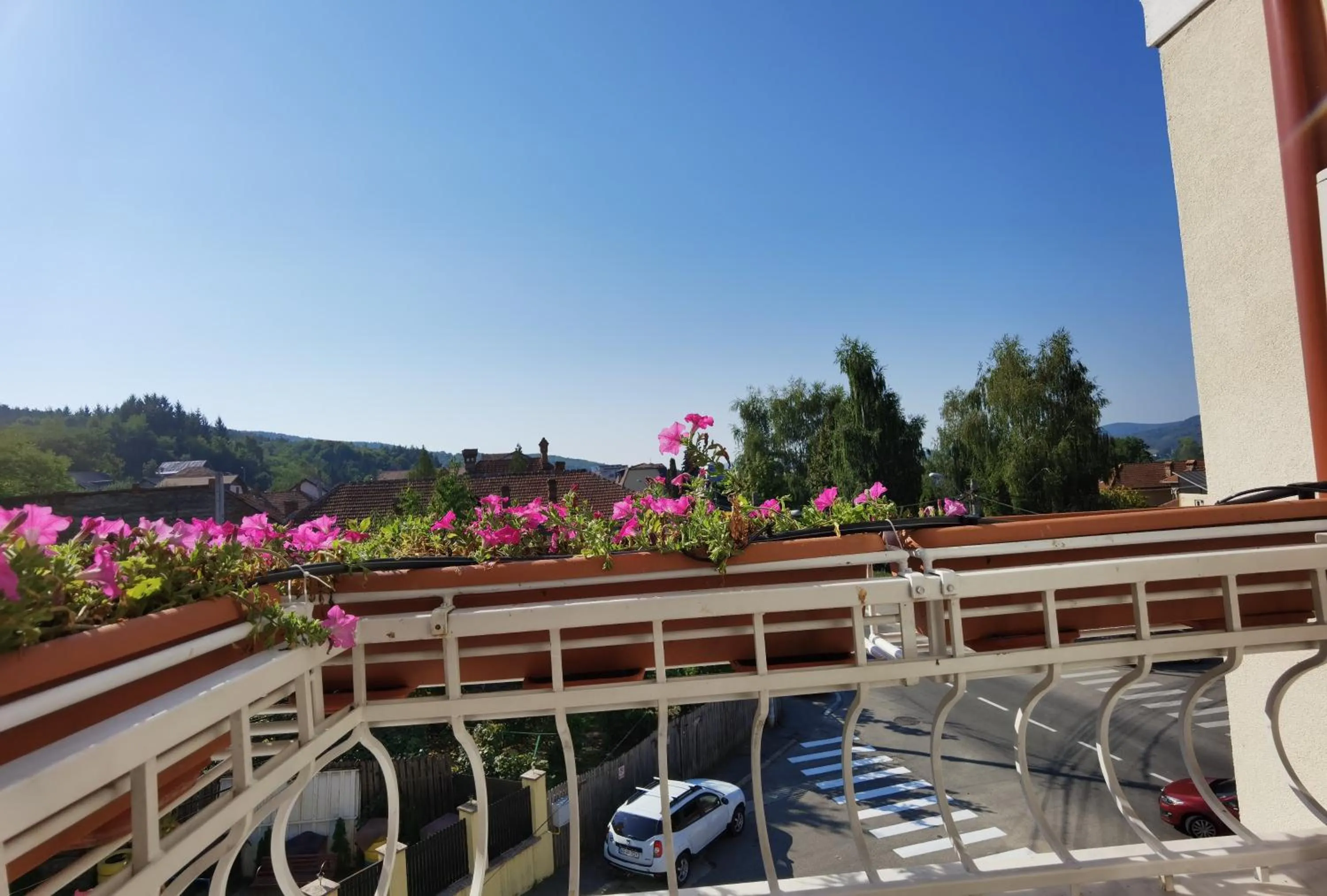 Day in Pensiunea Geostar