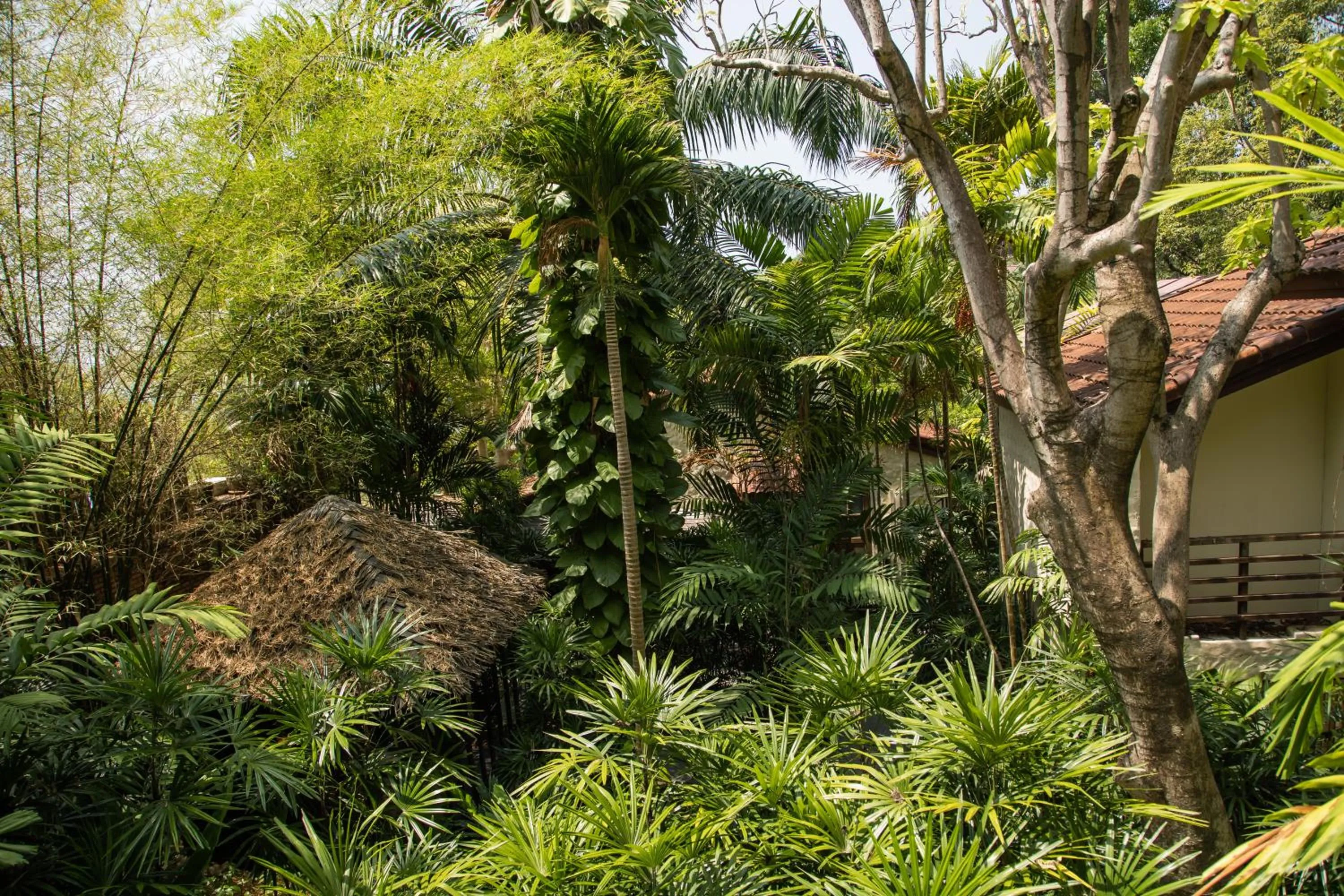 Natural landscape in Garrya Tongsai Bay Samui