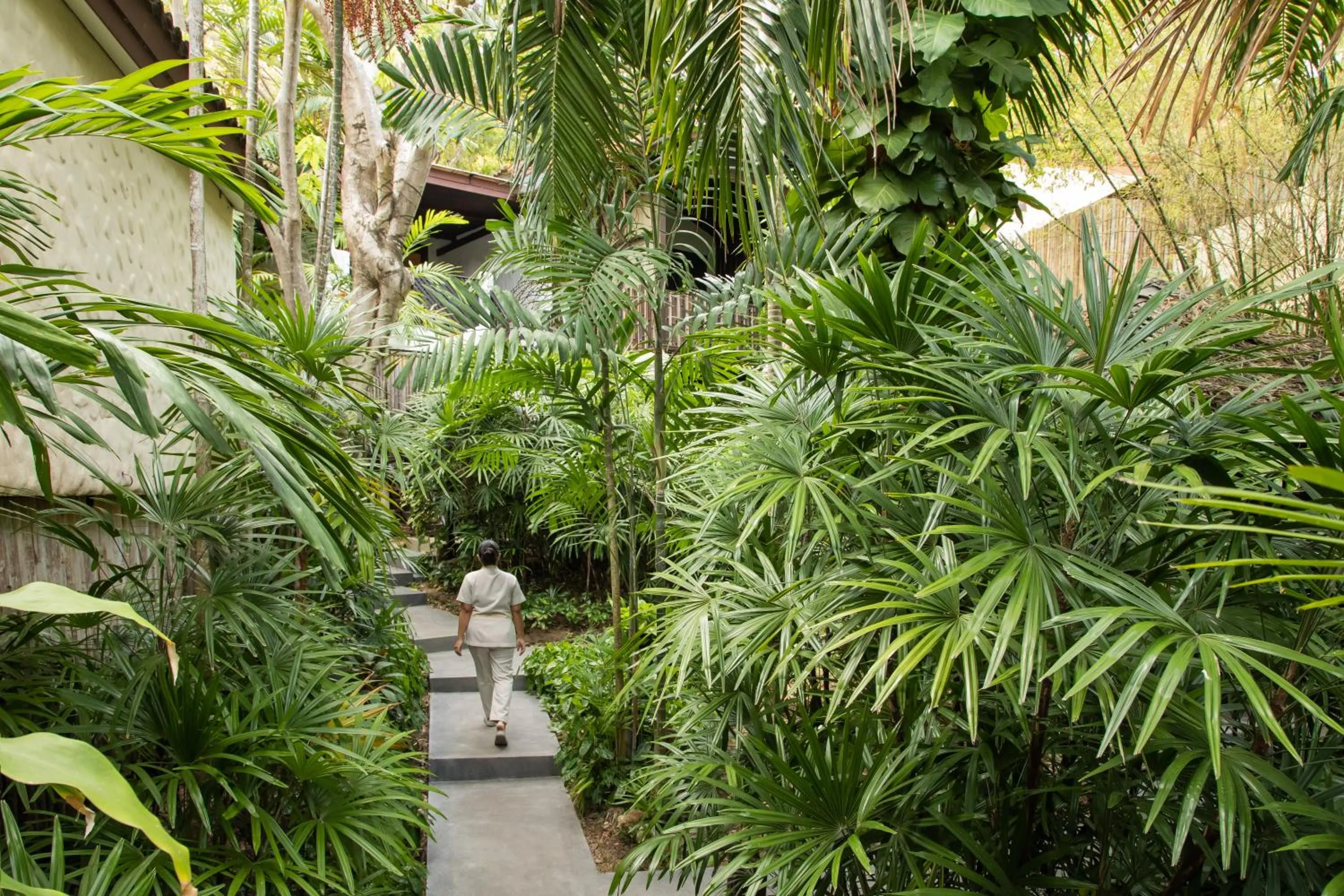 Natural landscape in Garrya Tongsai Bay Samui