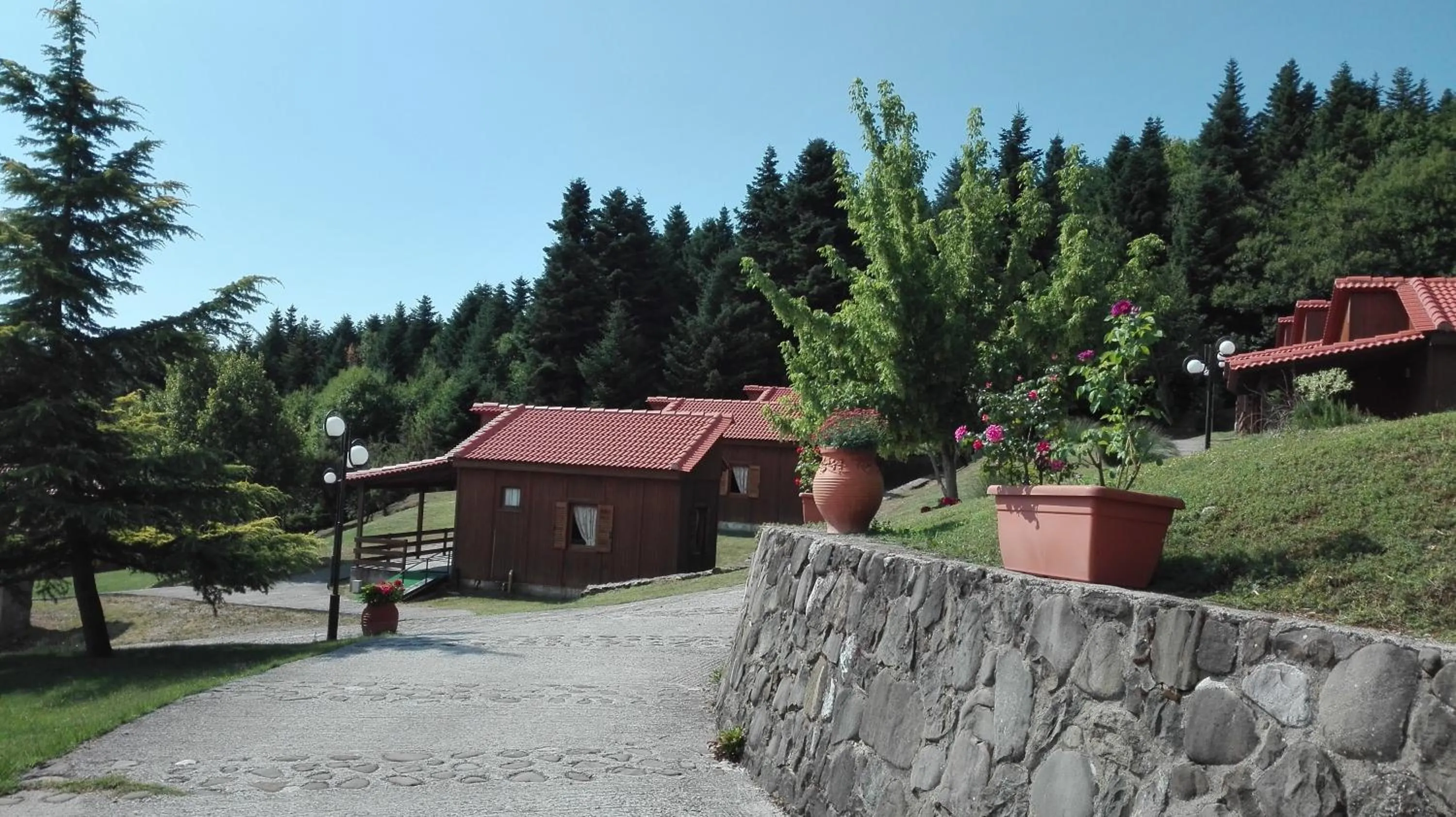 Garden in Livadaki Village