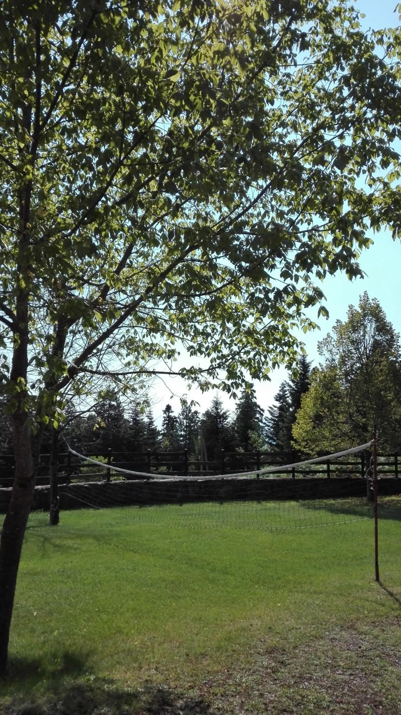 Activities in Livadaki Village