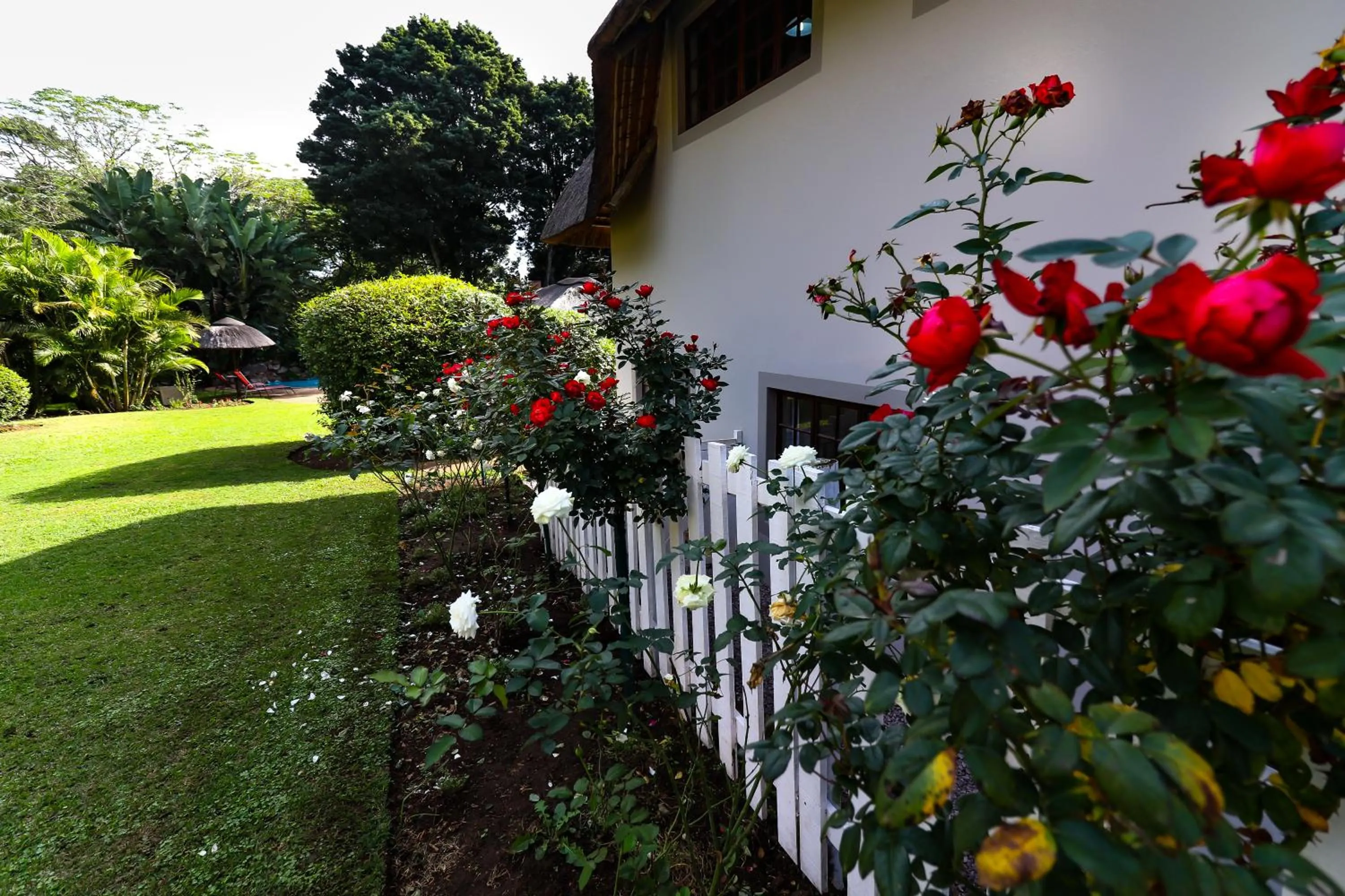 Other in Sibsons House