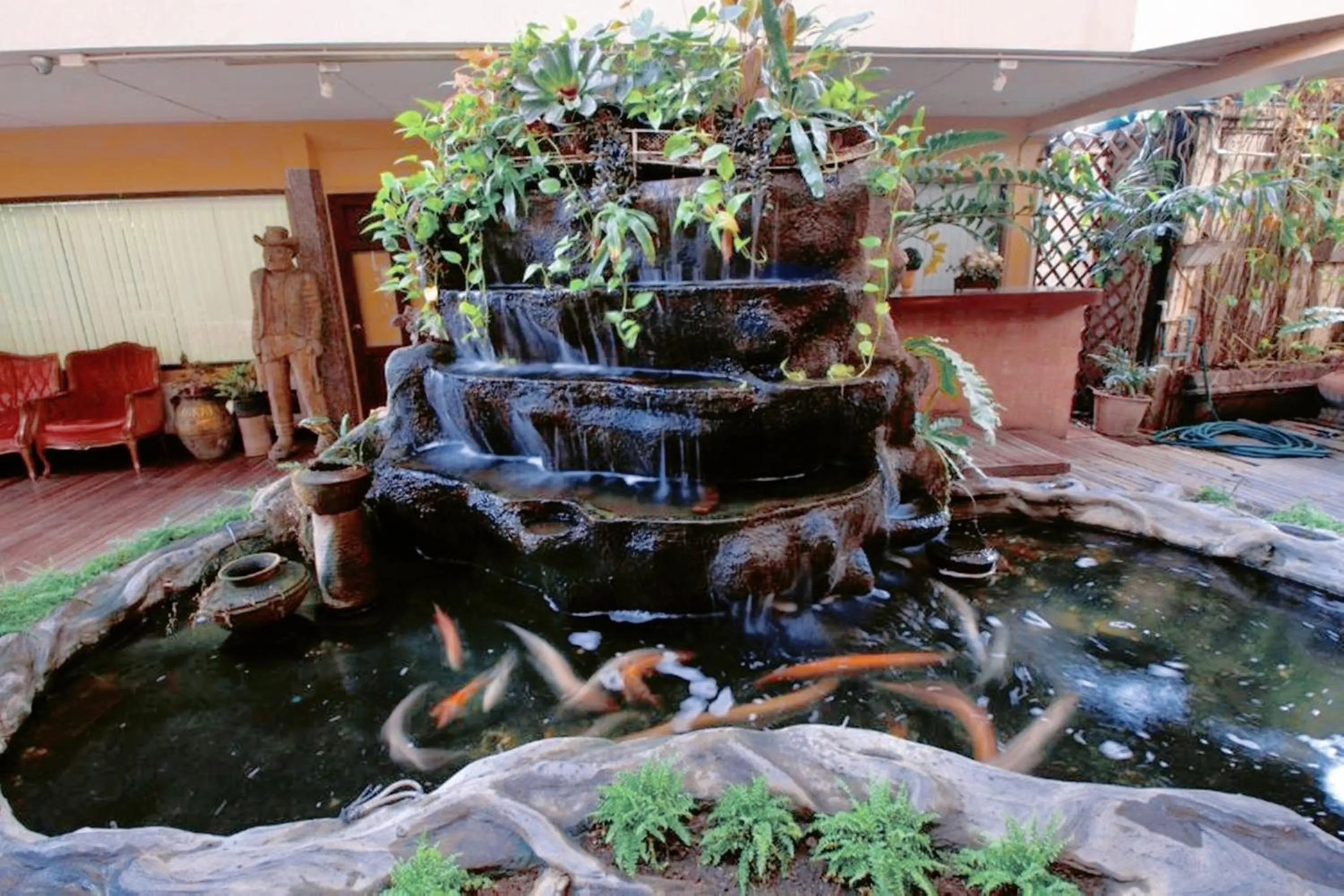 Animals in Eurana Boutique Hotel