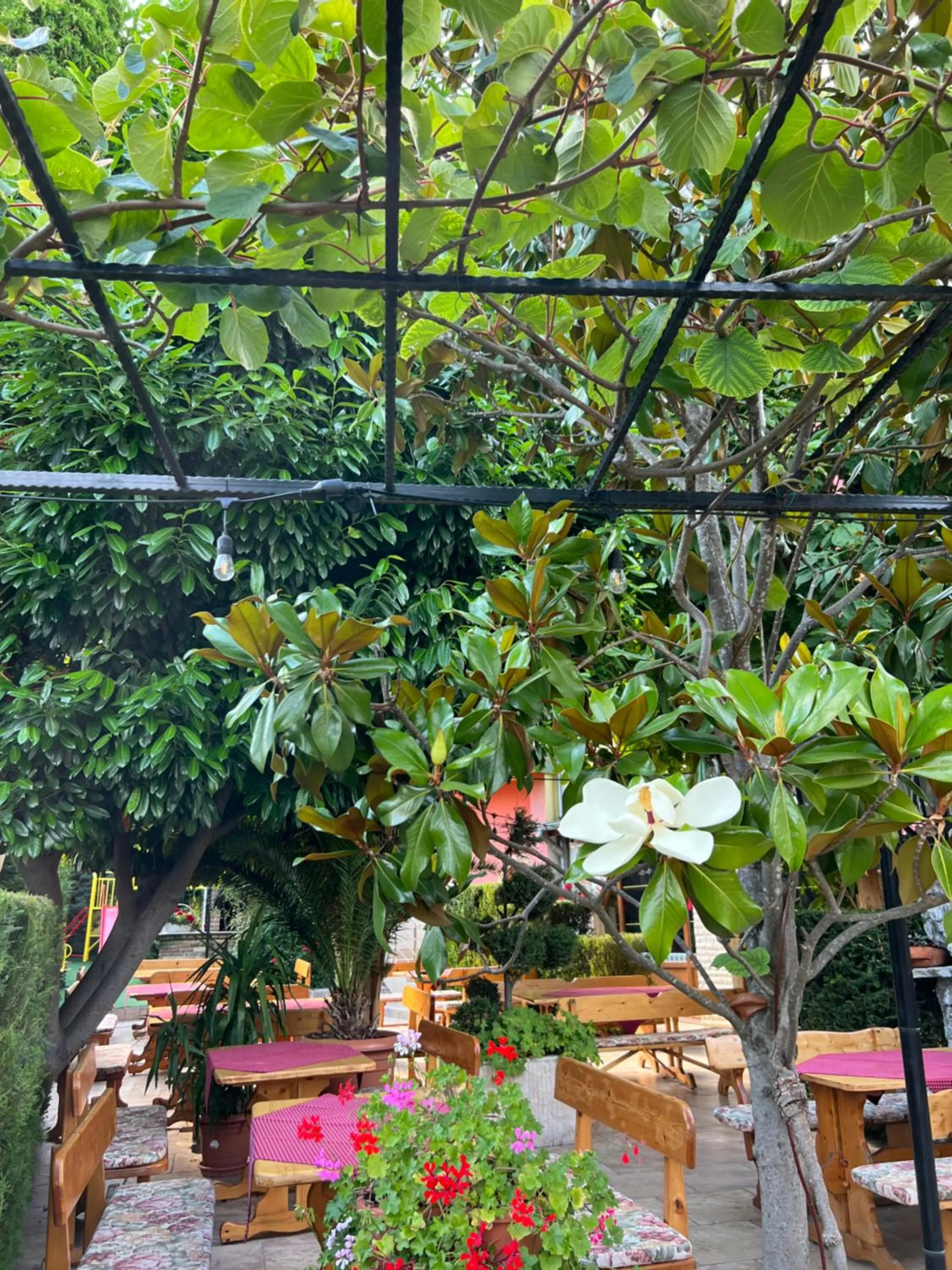 Restaurant/places to eat in Hotel Jambo