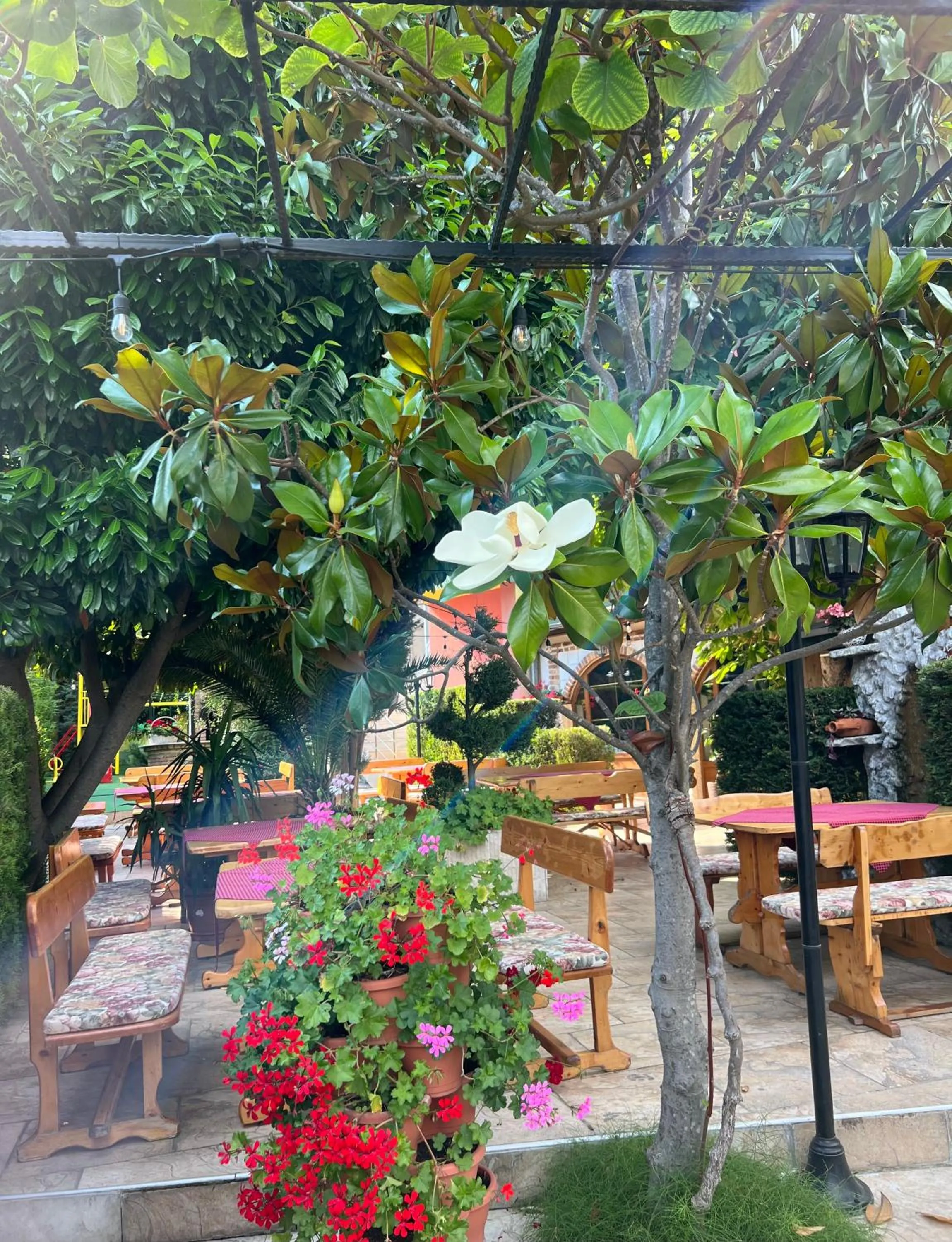 Restaurant/places to eat in Hotel Jambo