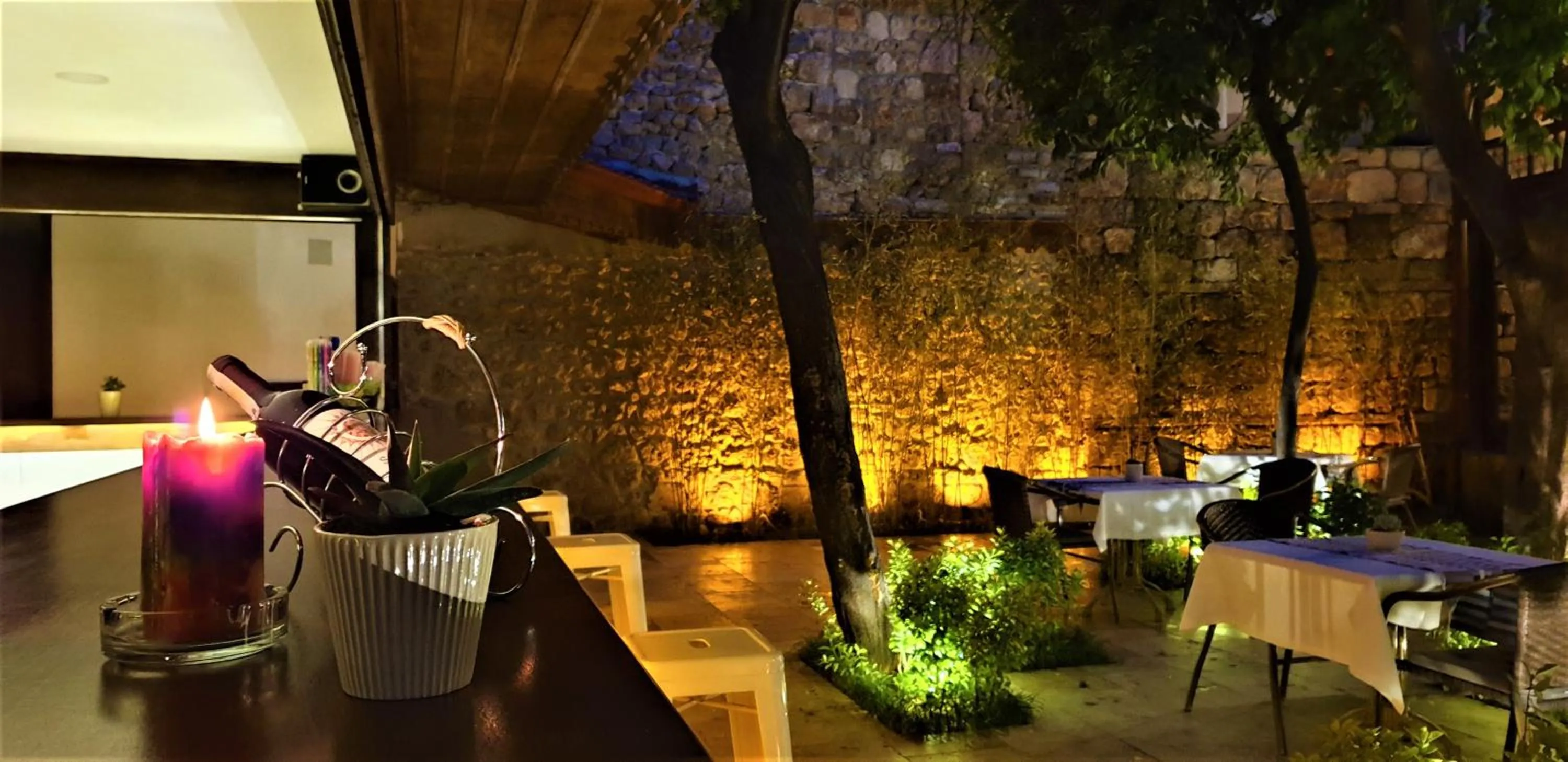 Garden in The Ninova