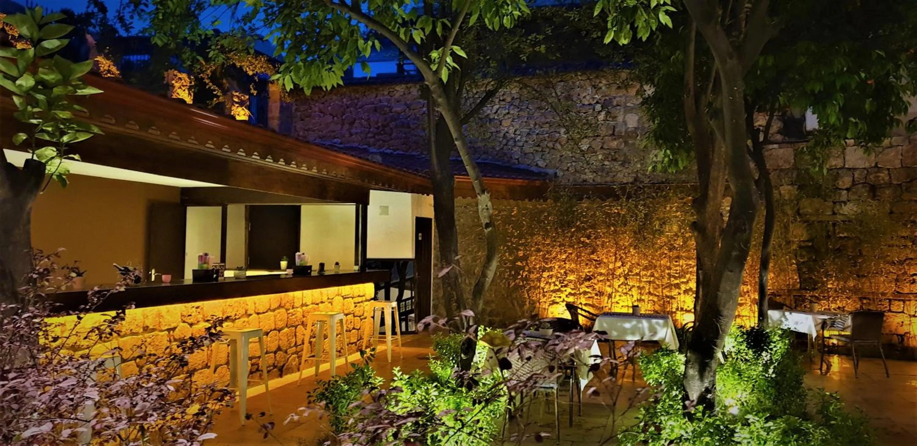 Garden in The Ninova