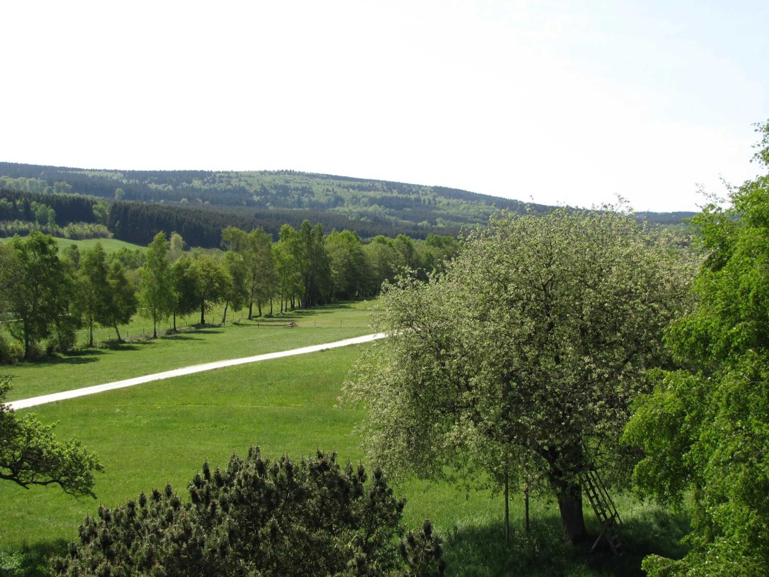 Area and facilities in Hotel Steuer
