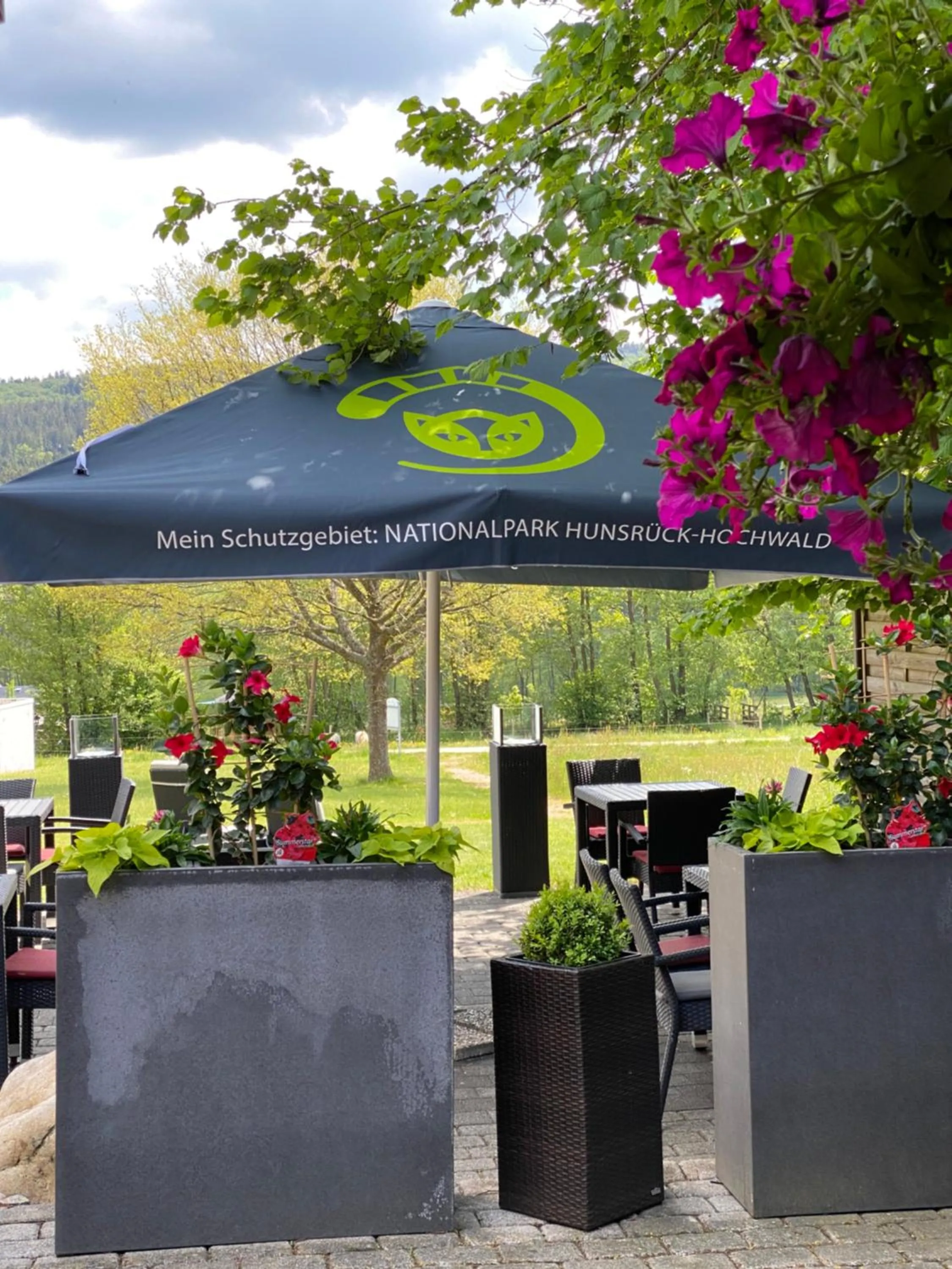 Patio in Hotel Steuer