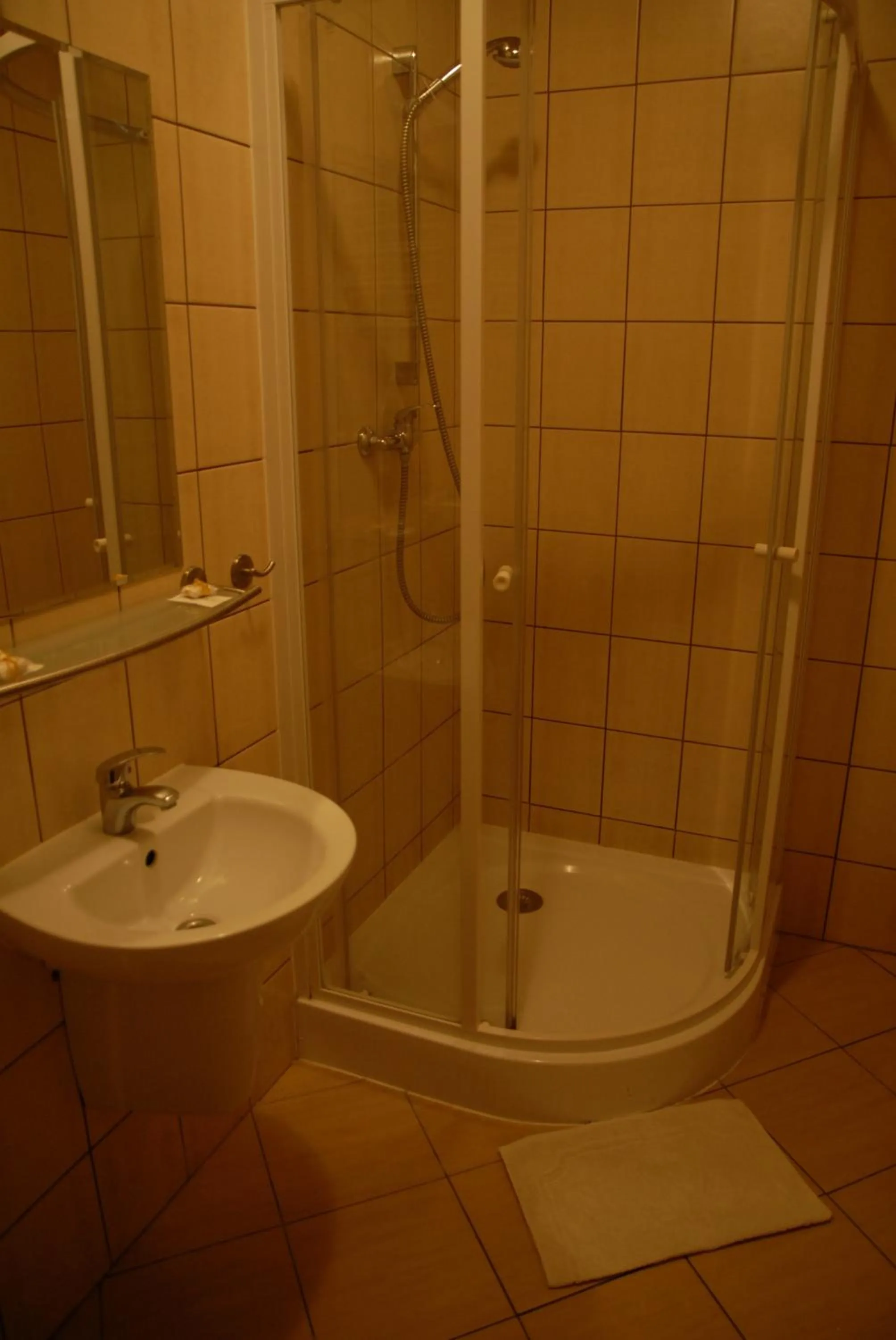 Shower in Hostel, Pokoje gościnne Mleczarnia - Ozonowane