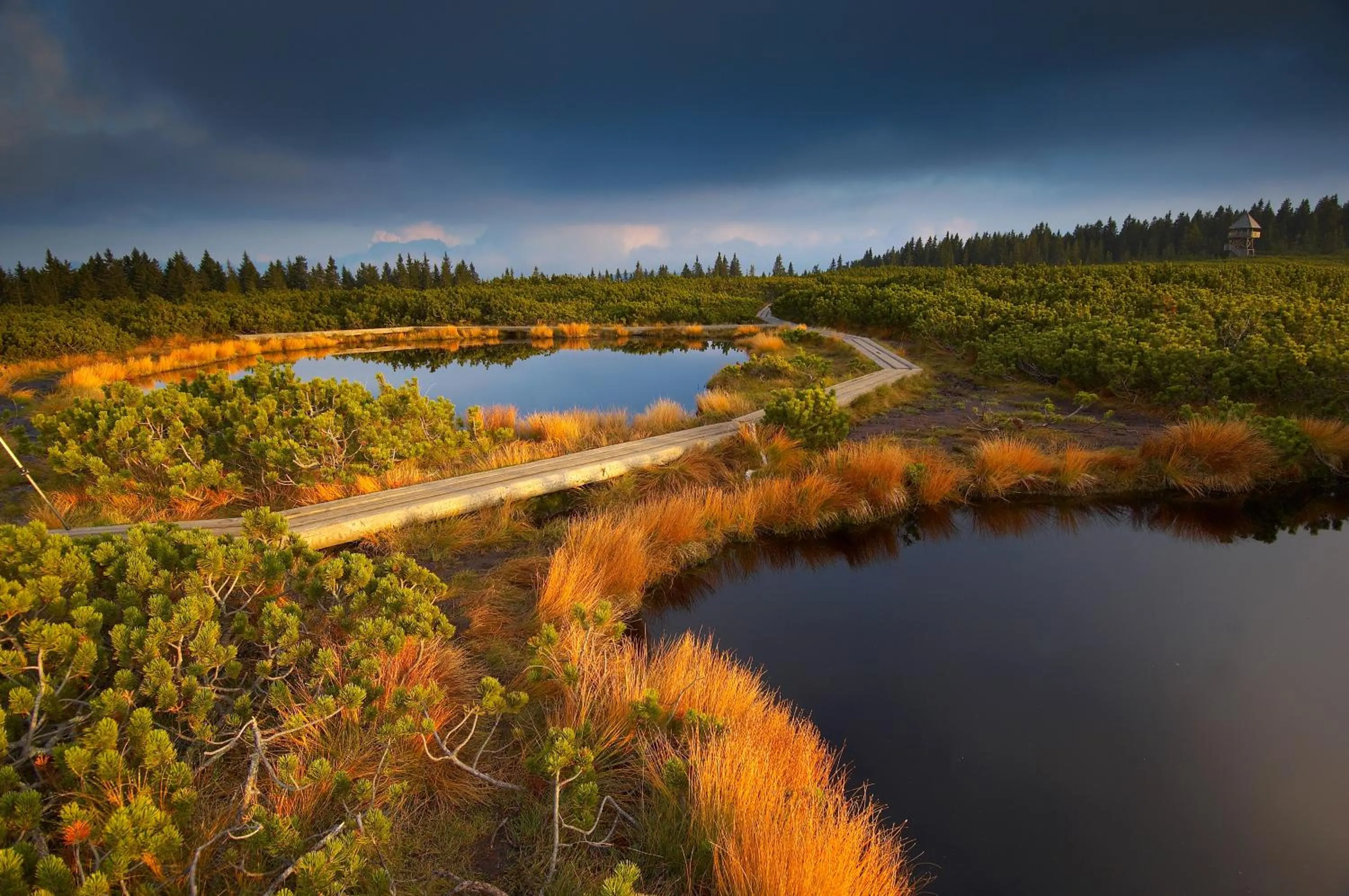 Natural landscape in Hotel Korosica