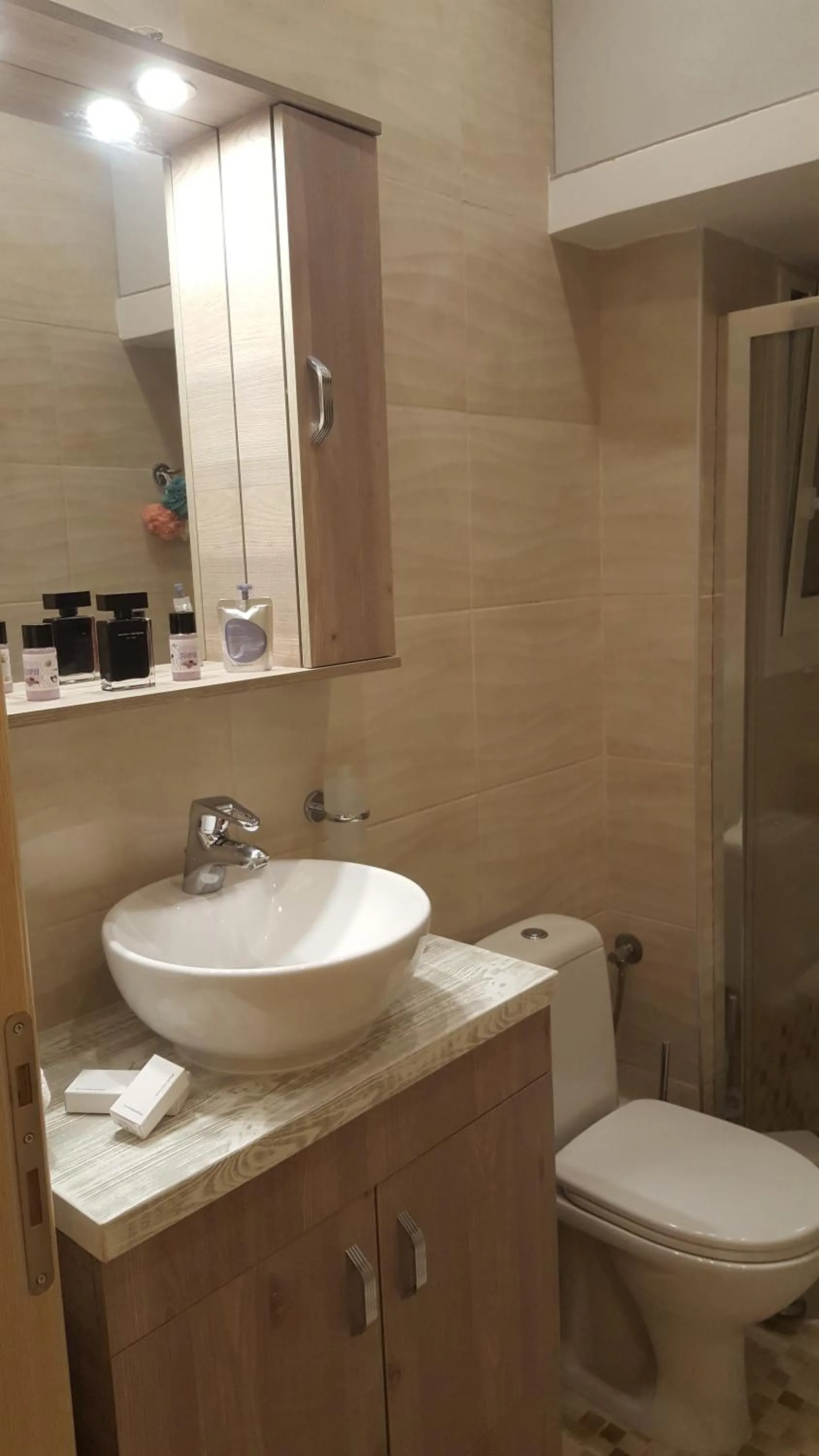 Toilet in Zoe's Studio