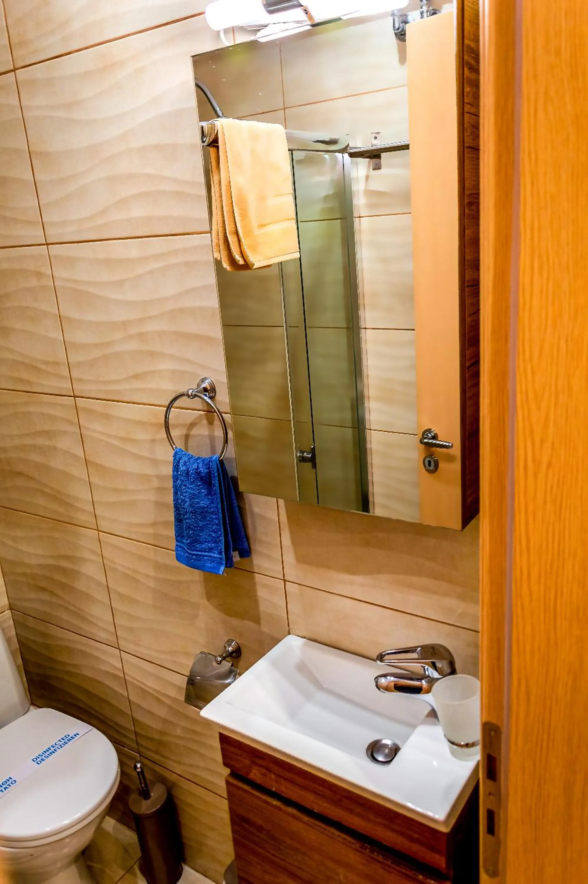 Toilet in Zoe's Studio