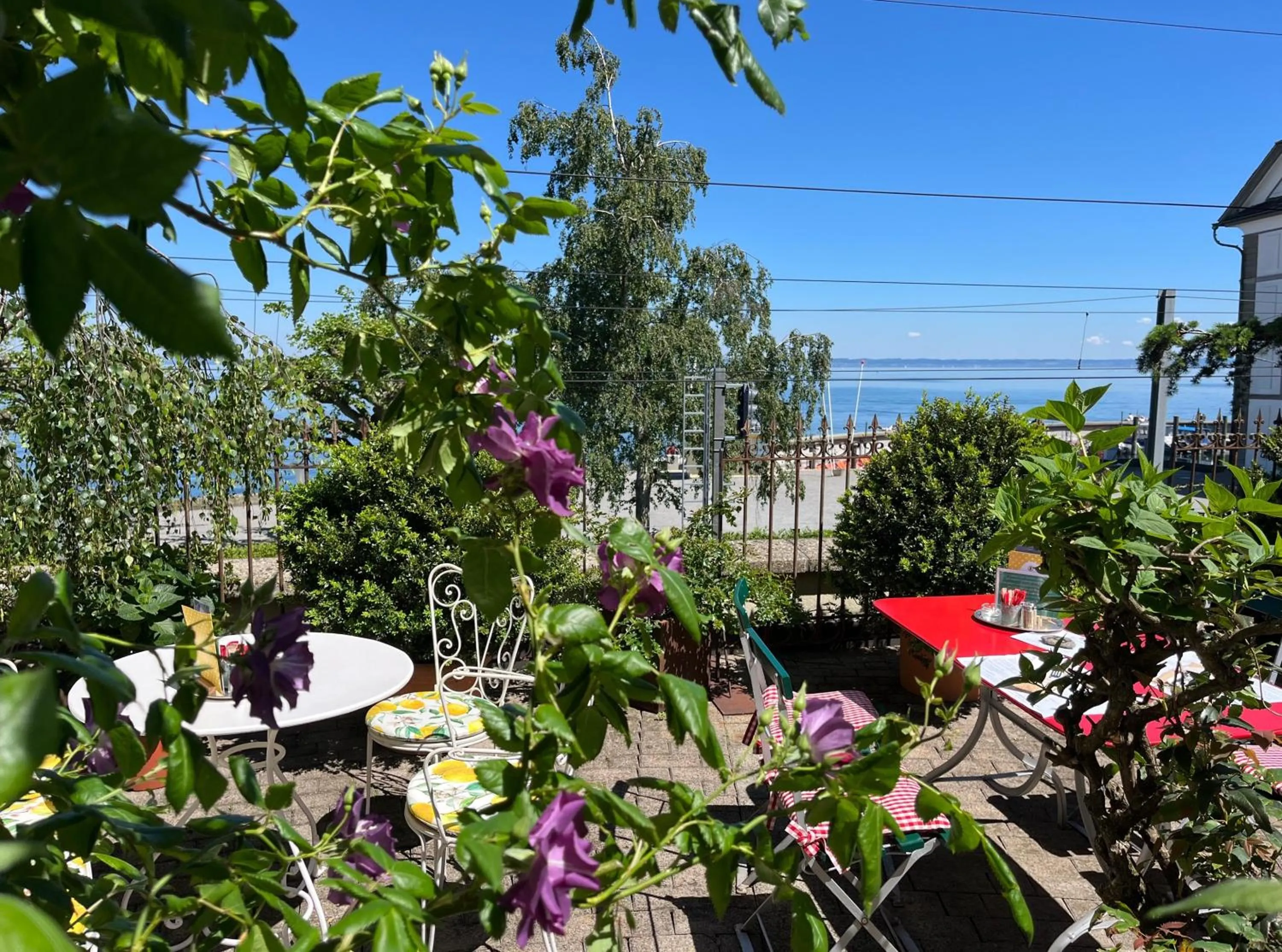 Restaurant/places to eat in Hotel Mozart